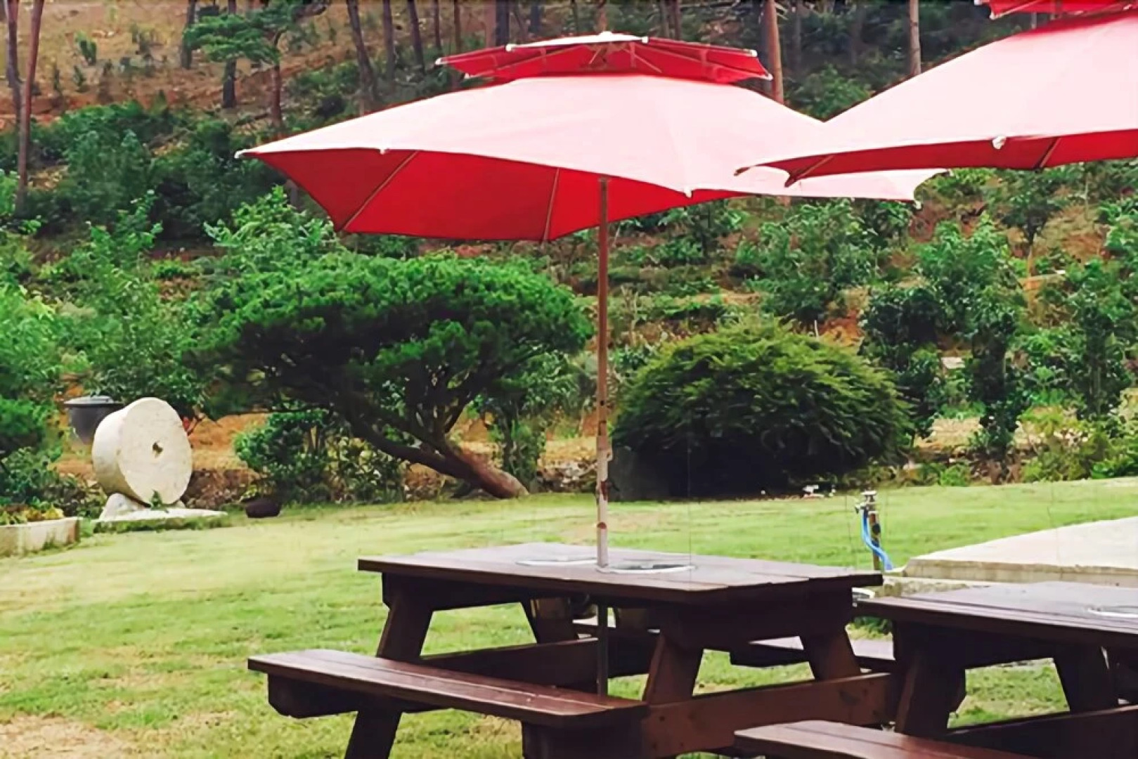 Seosan Pinehealing Pension