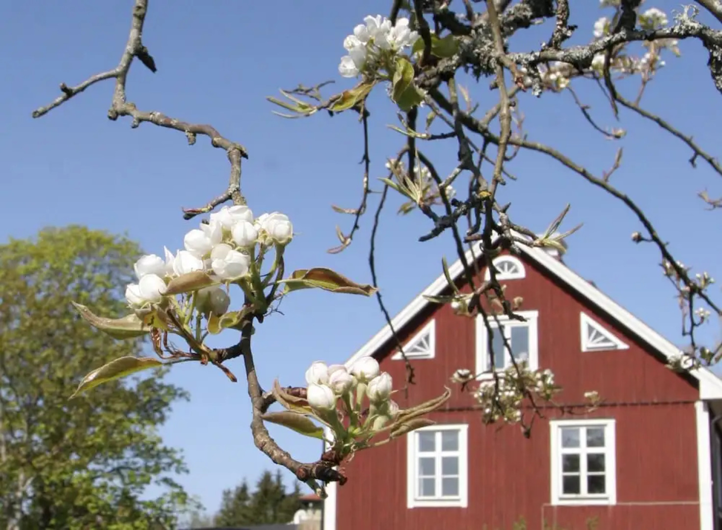 Tjällmo Gästgifvaregård