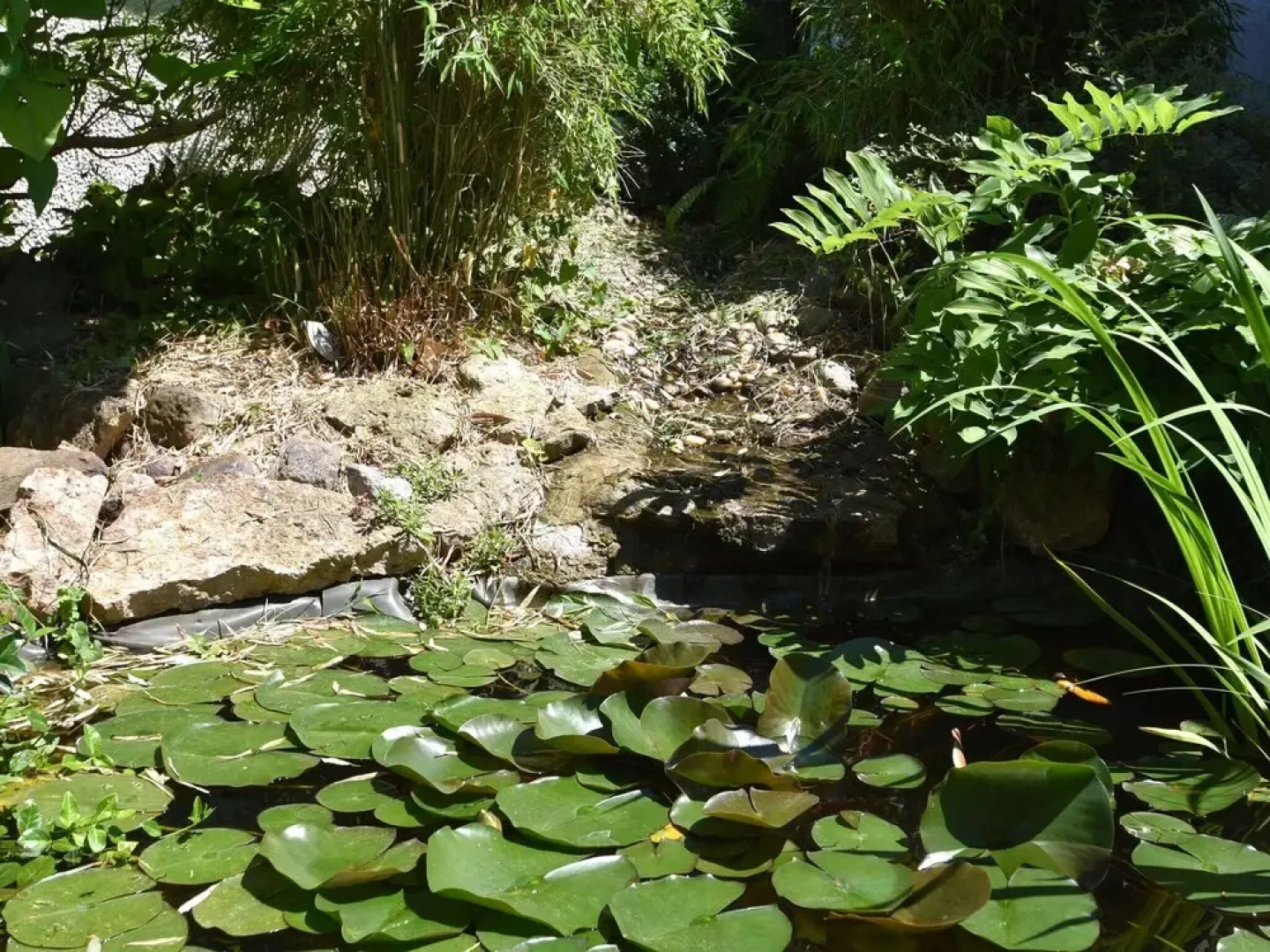 Vintage Hoilday Home in Leina with Pond