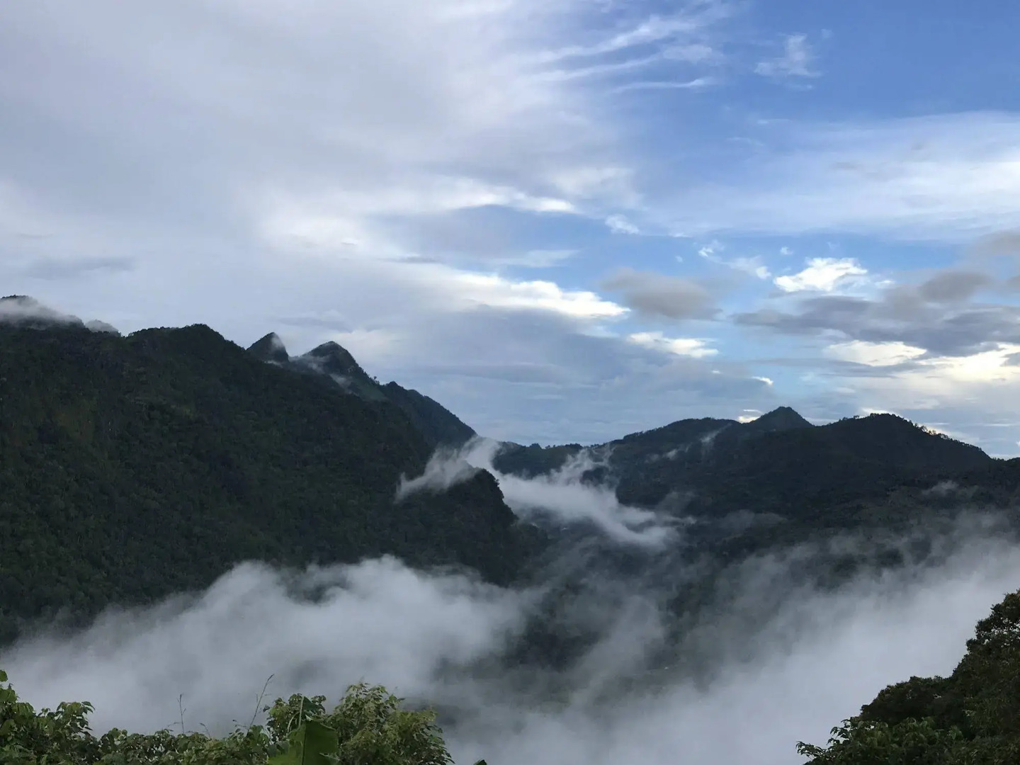 Shin Sane Guesthouse