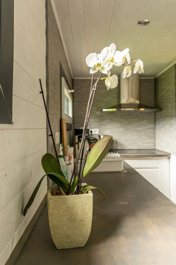 Les Cabanes de Warincthun