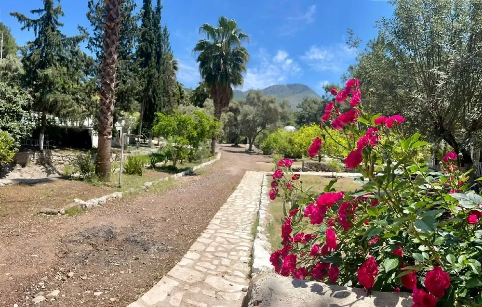 Olympos Angels Garden