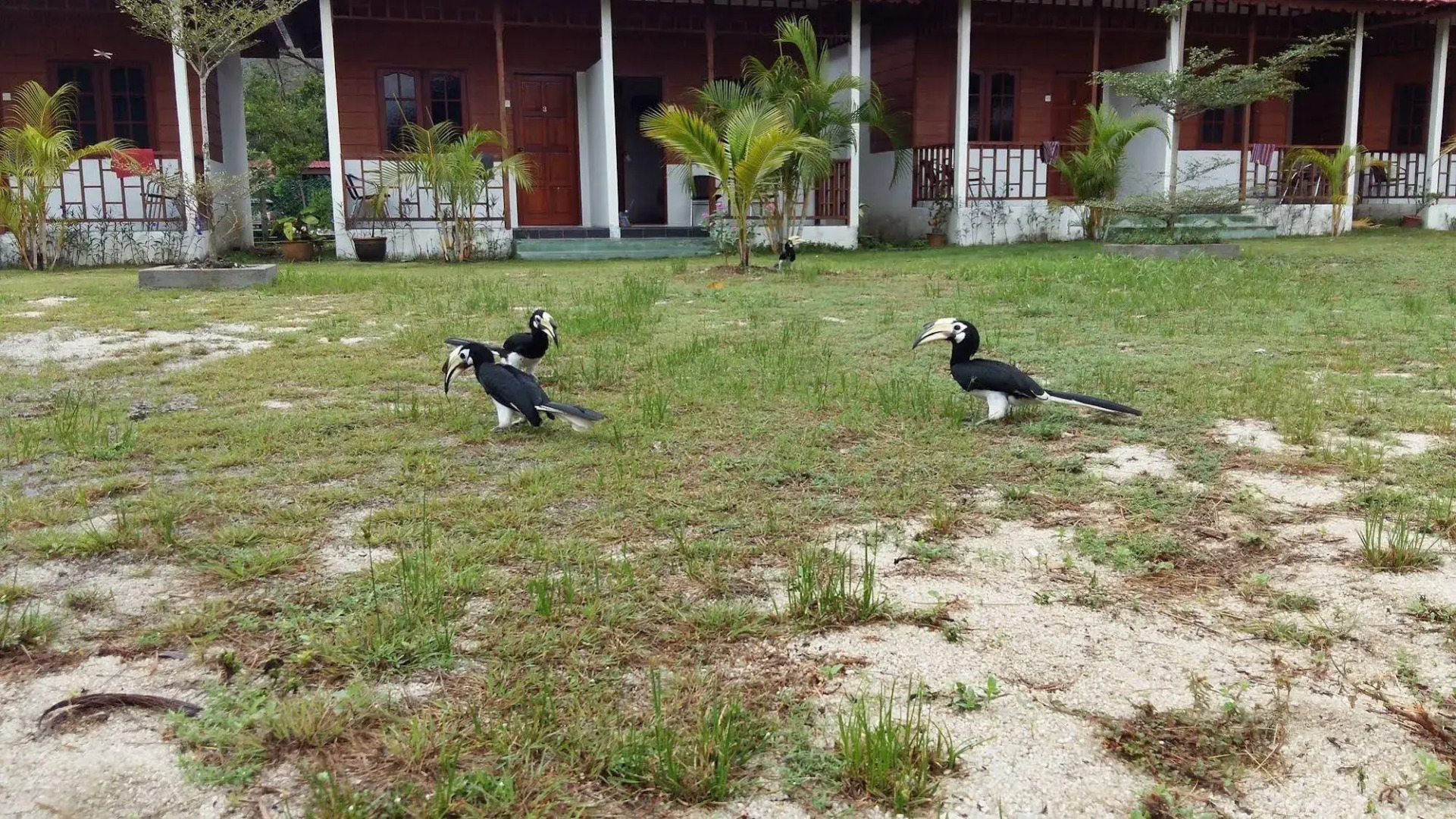 Pangkor Waterfall Beach Resort
