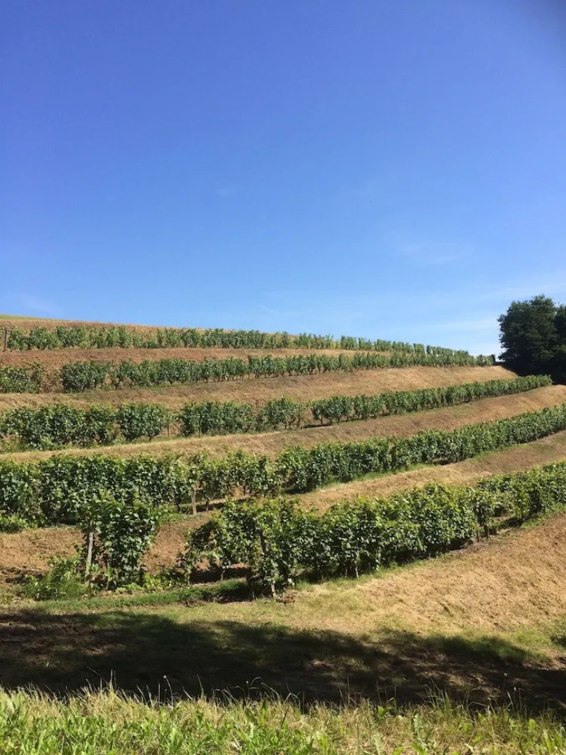 Clos des 3 Rois Chambres Hôtes Thouarcé