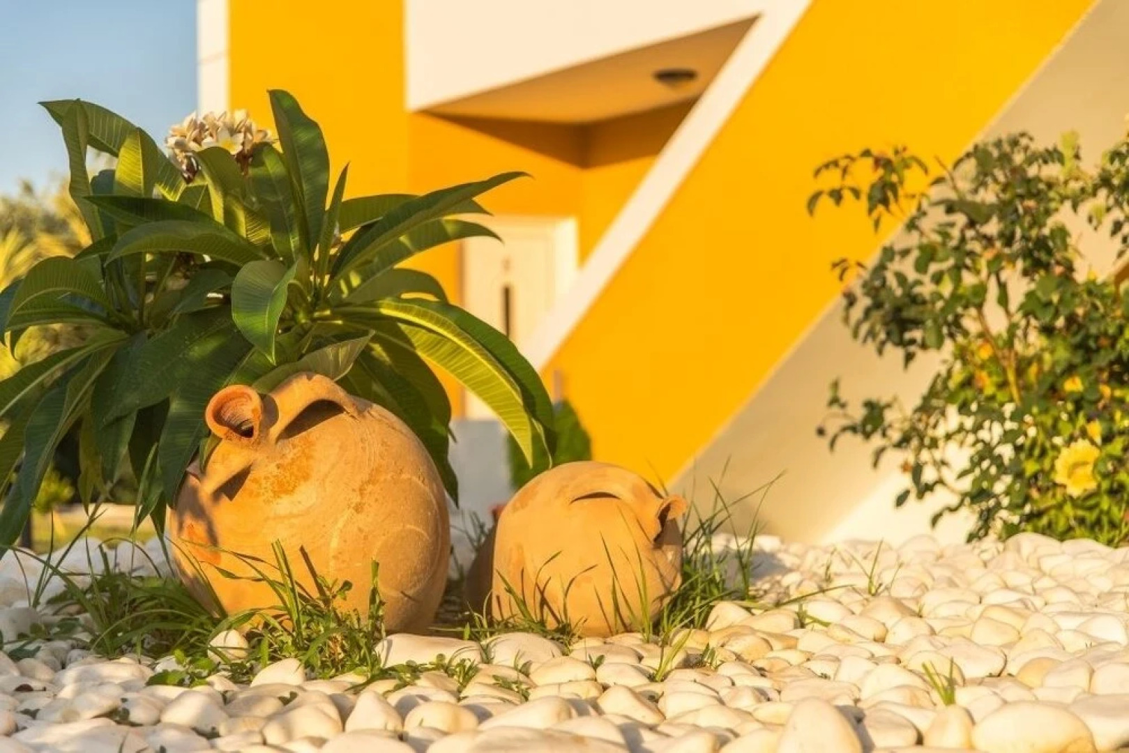 Anemones Studios & Apartments