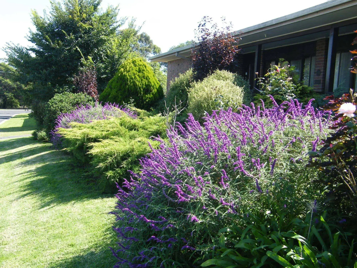 Boomers Guest House Hamilton