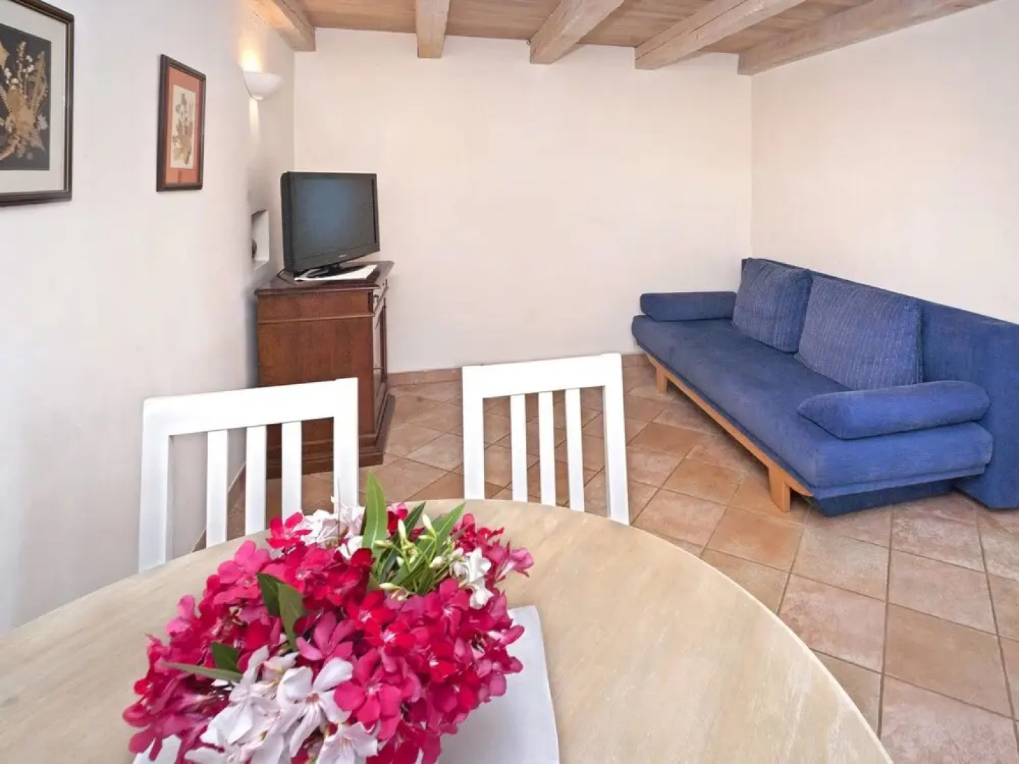 Hibiskus Tadini in Tadini