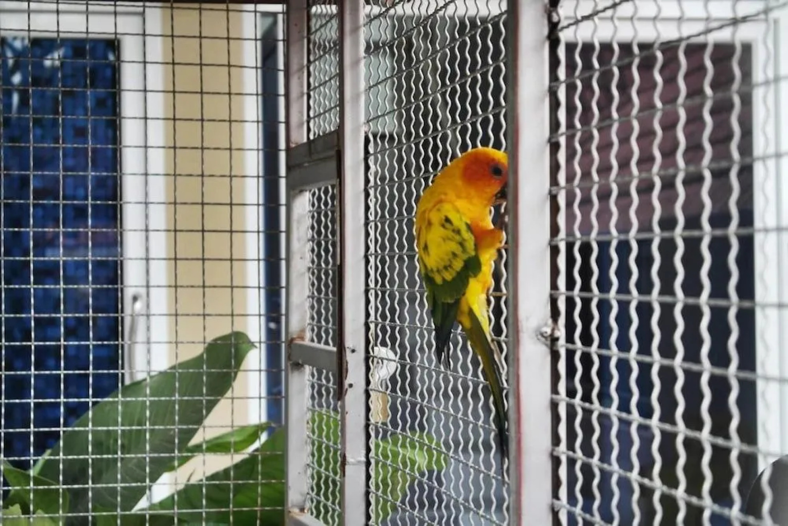 Tachang Airport Hotel