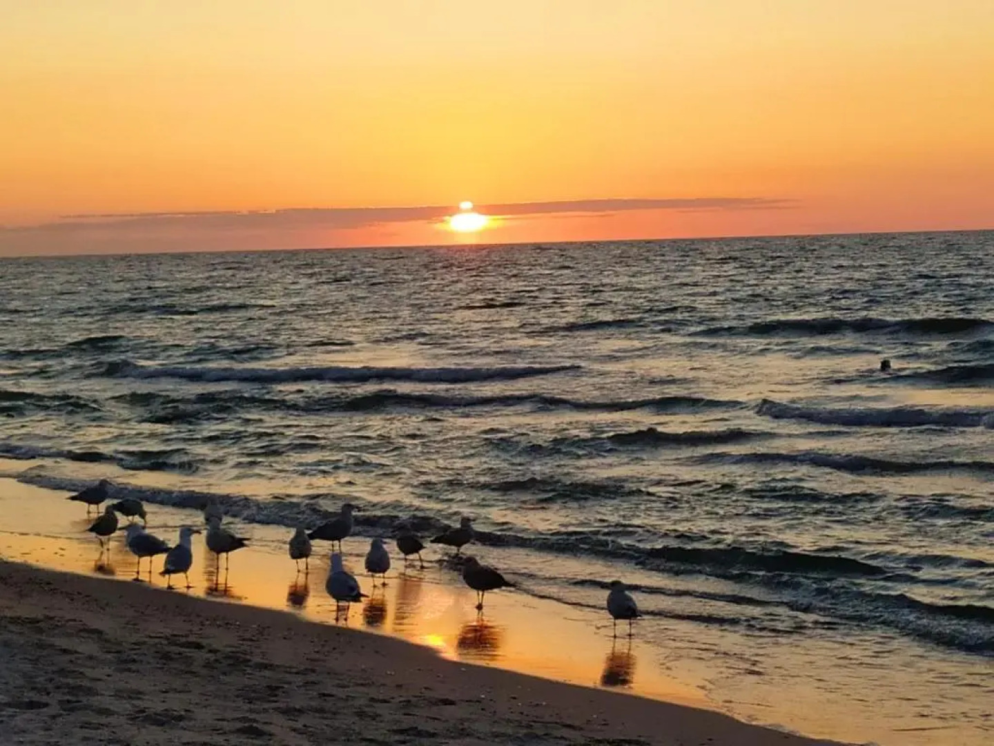 Słoneczna Sarbinówka