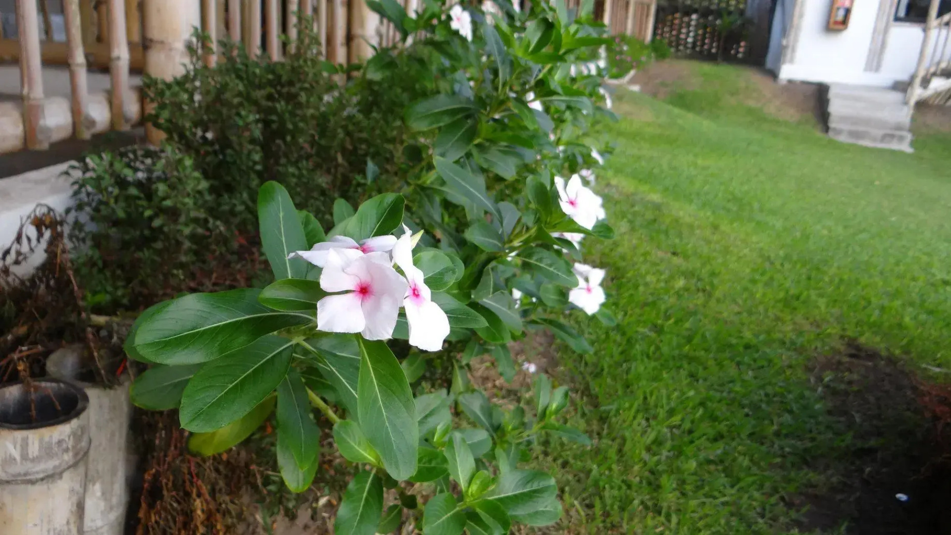 Taboga Eco Boutique Hotel