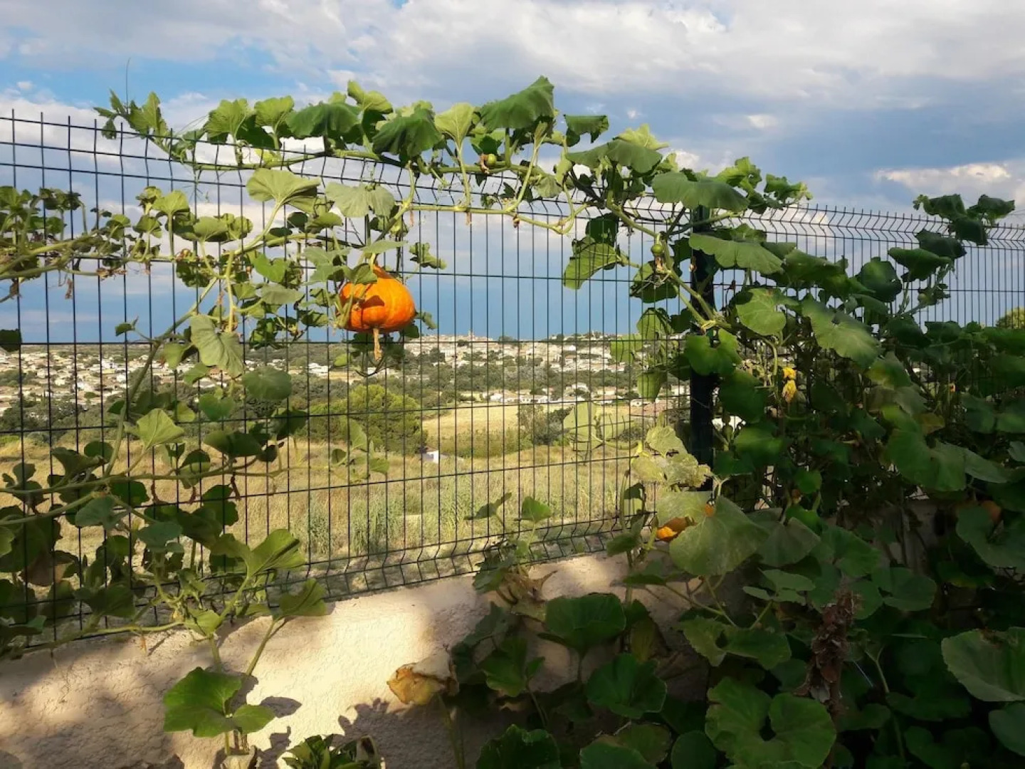 House With 2 Bedrooms in Magalas, With Pool Access, Enclosed Garden an