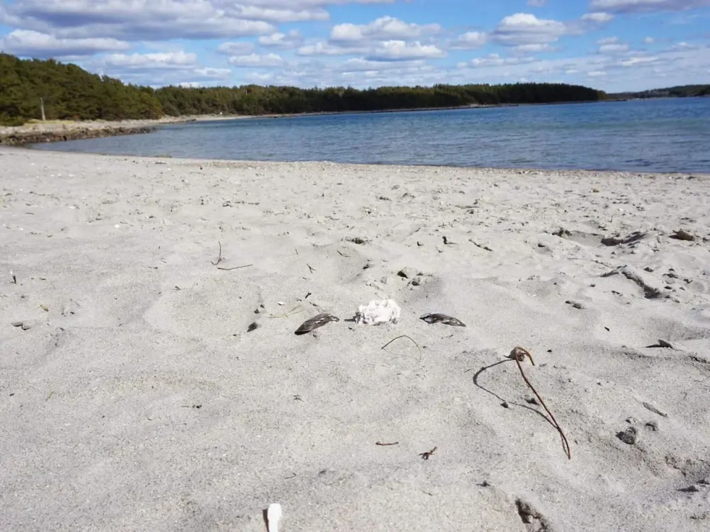 Peaceful Coastal Getaway on Oddo