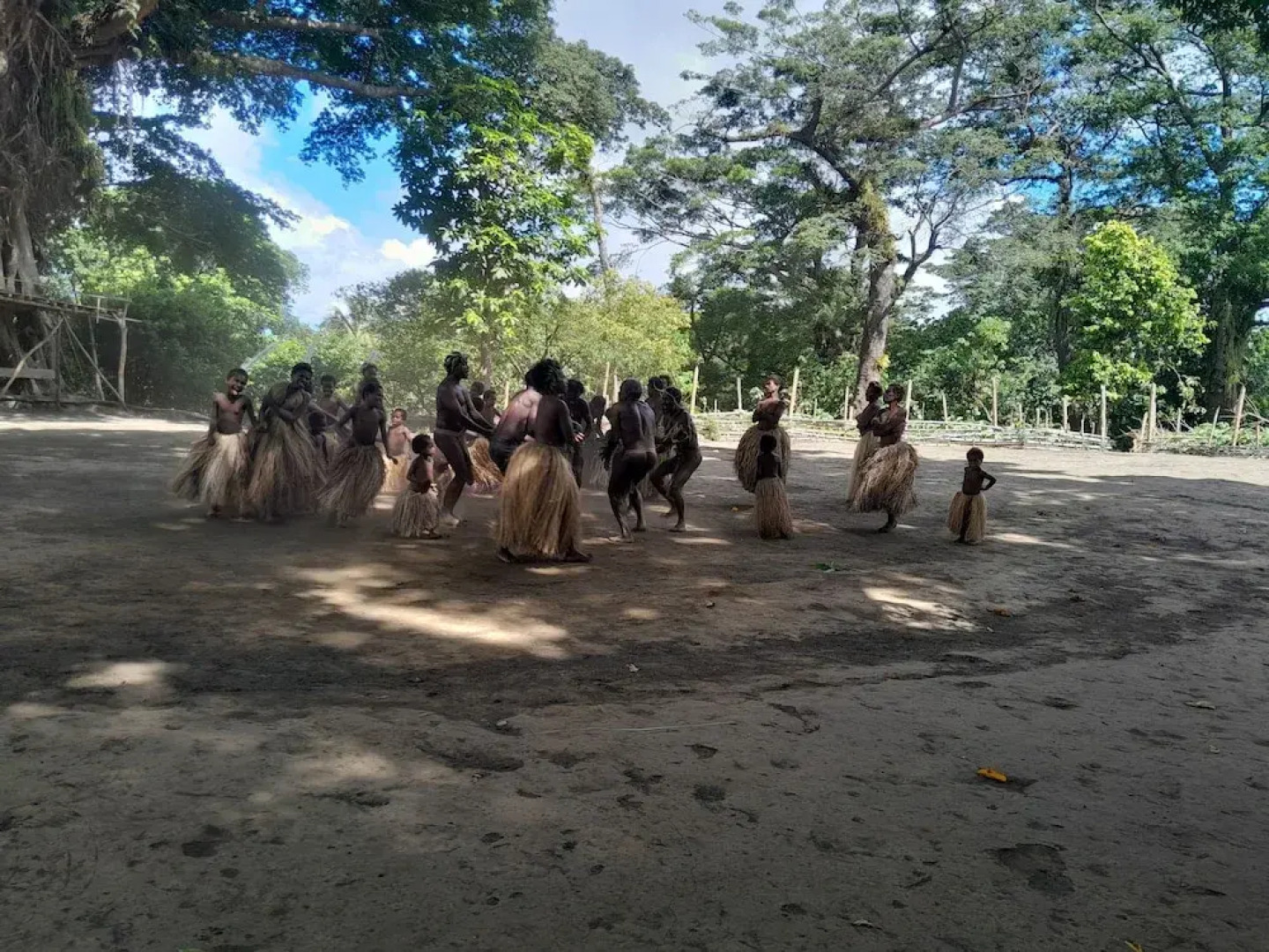 Glowing view tree house and Bangalow