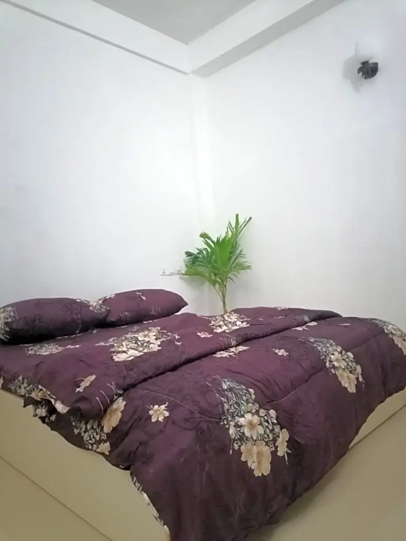 The Rose Garden House