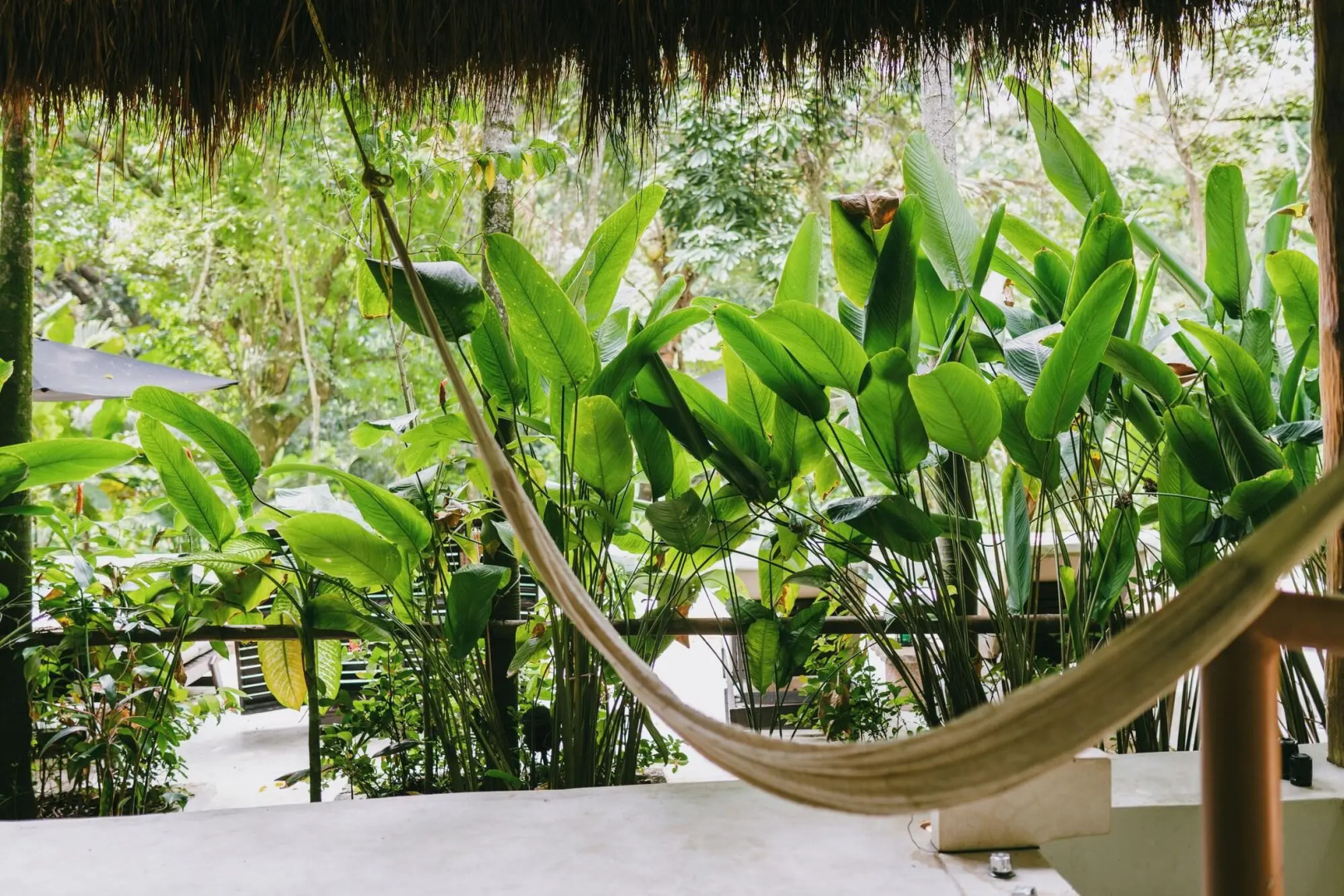 Piedra de Agua Hotel Boutique Palenque