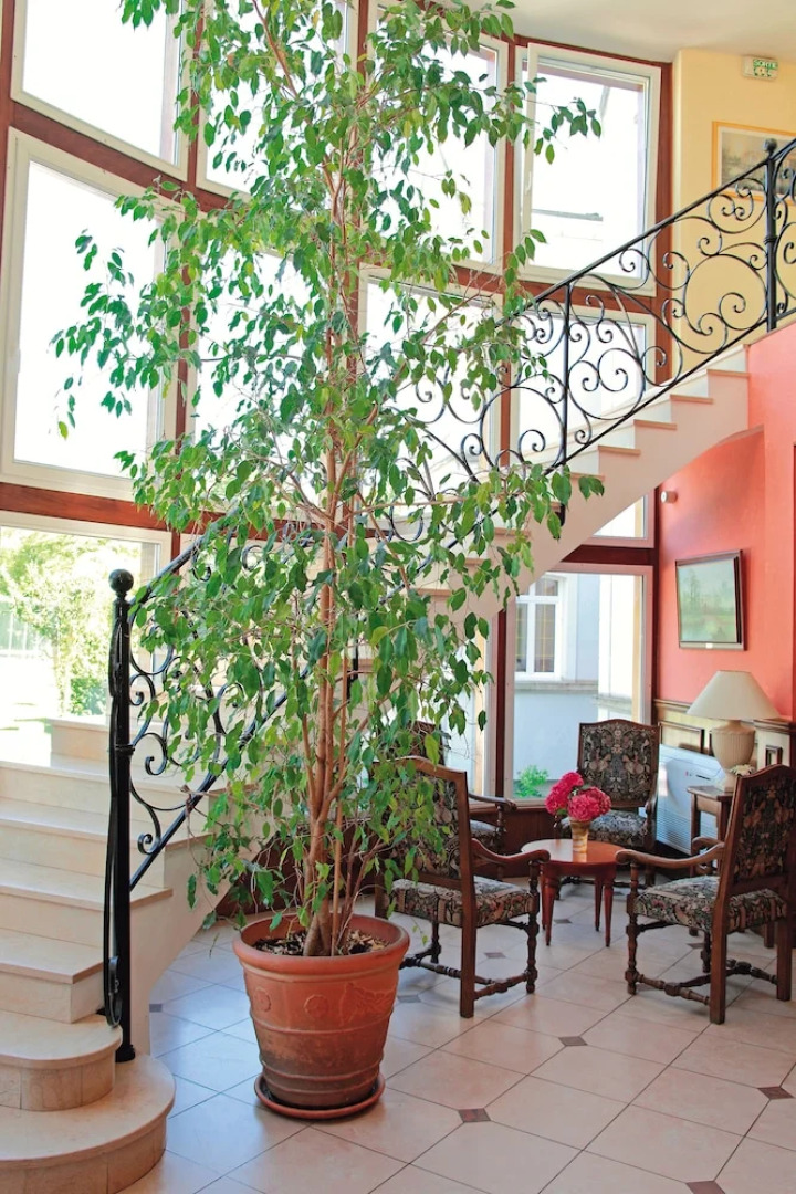 Château des Tourelles