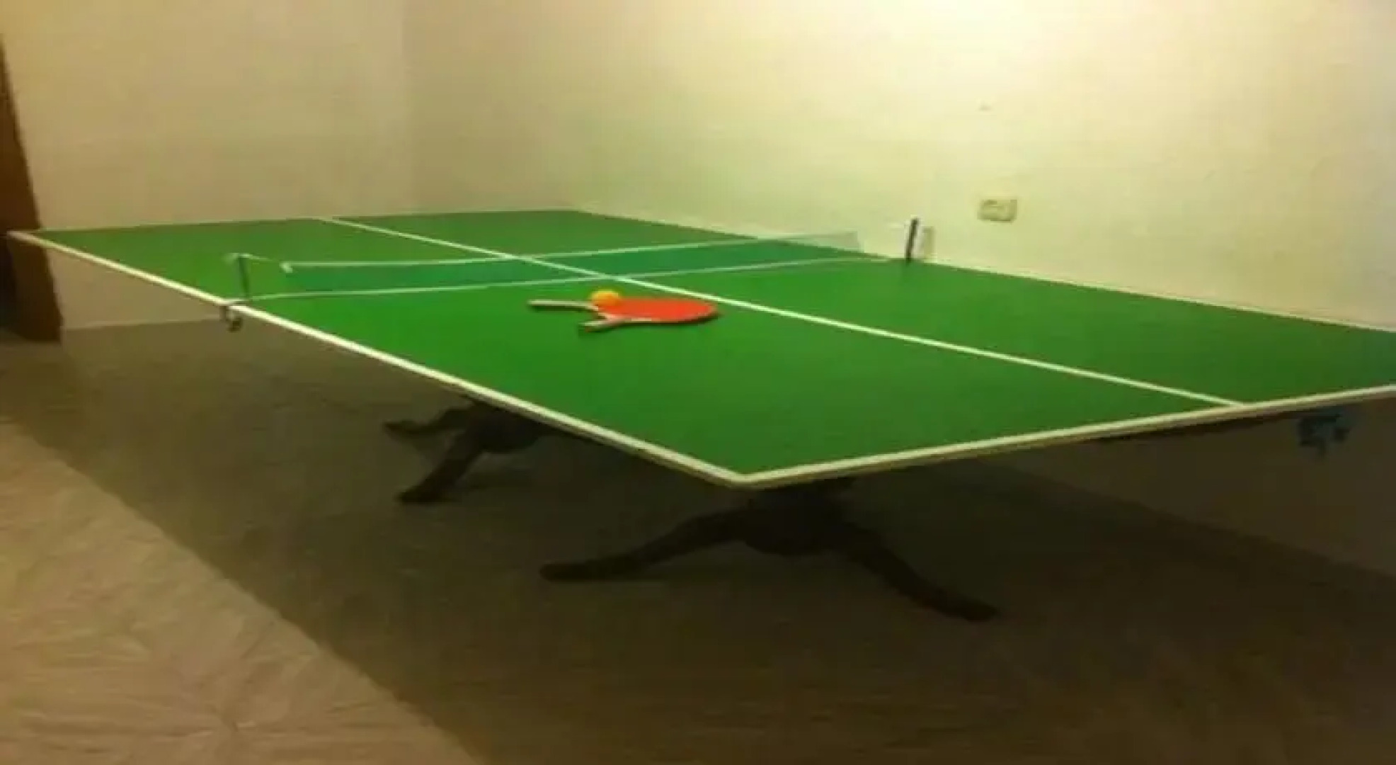 Casa Rural Los Estrechillos