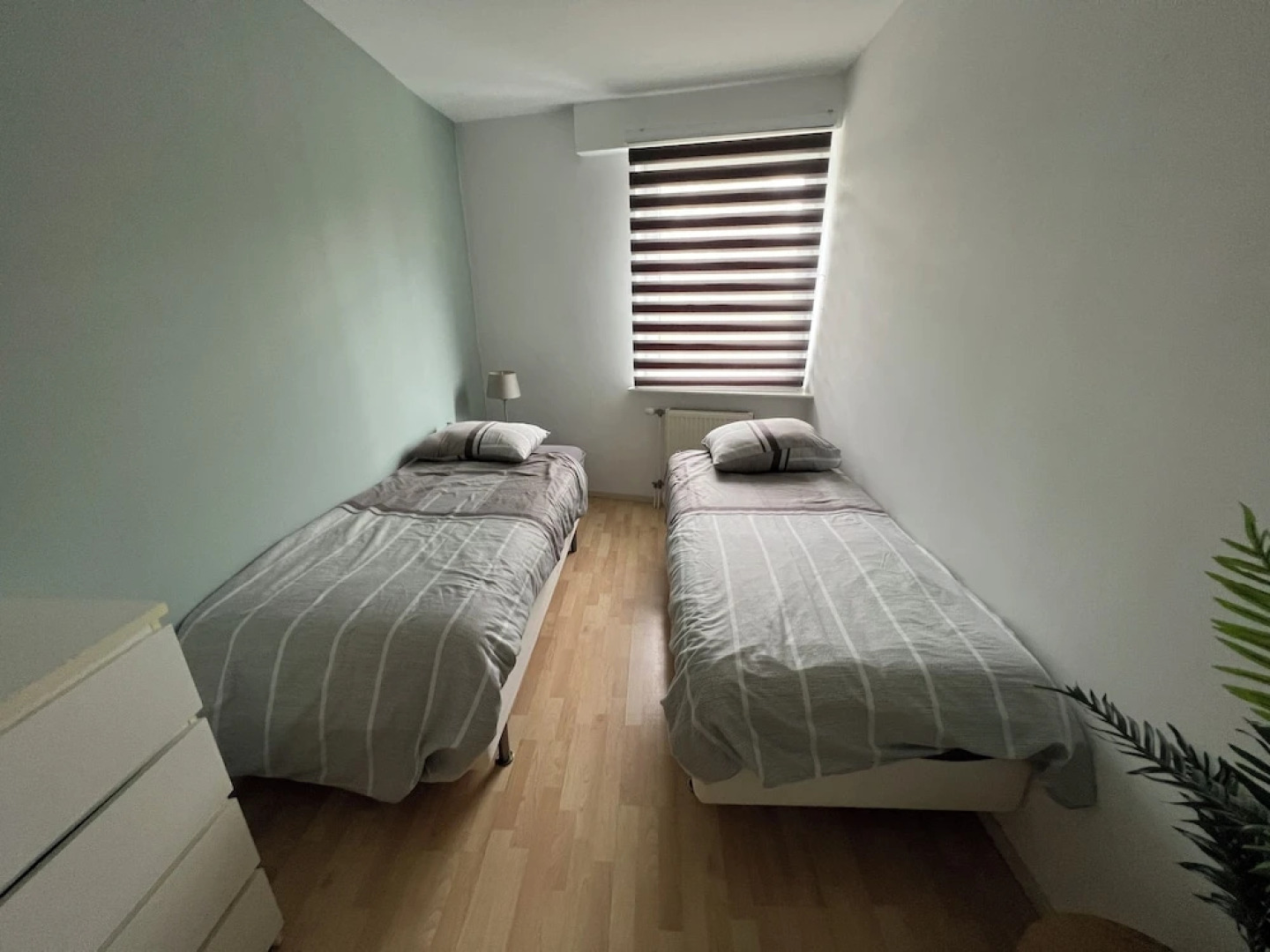 Zaanse Schans Apartments