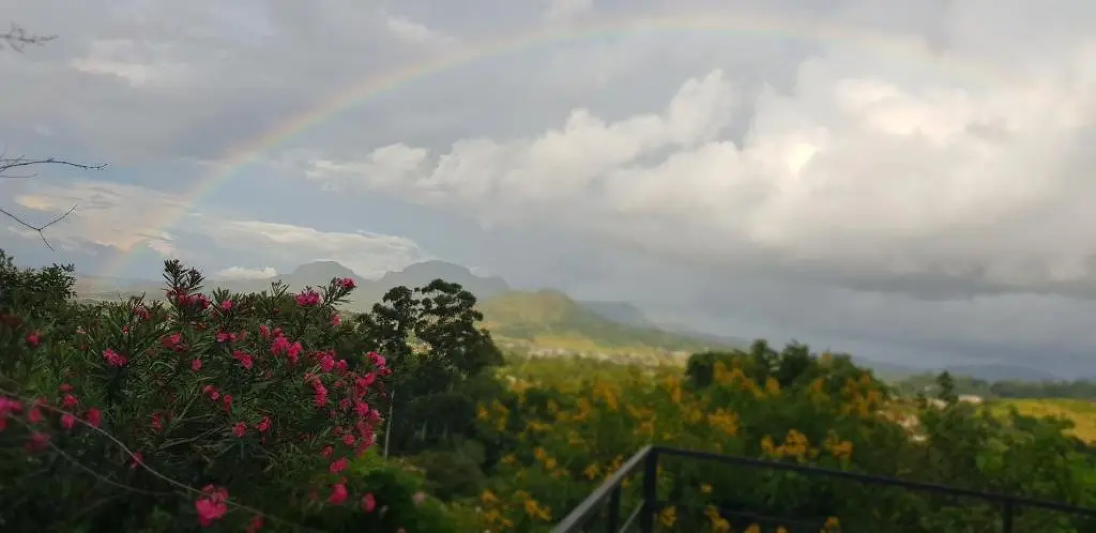 InstaHomes by Tru - Hillside Suite