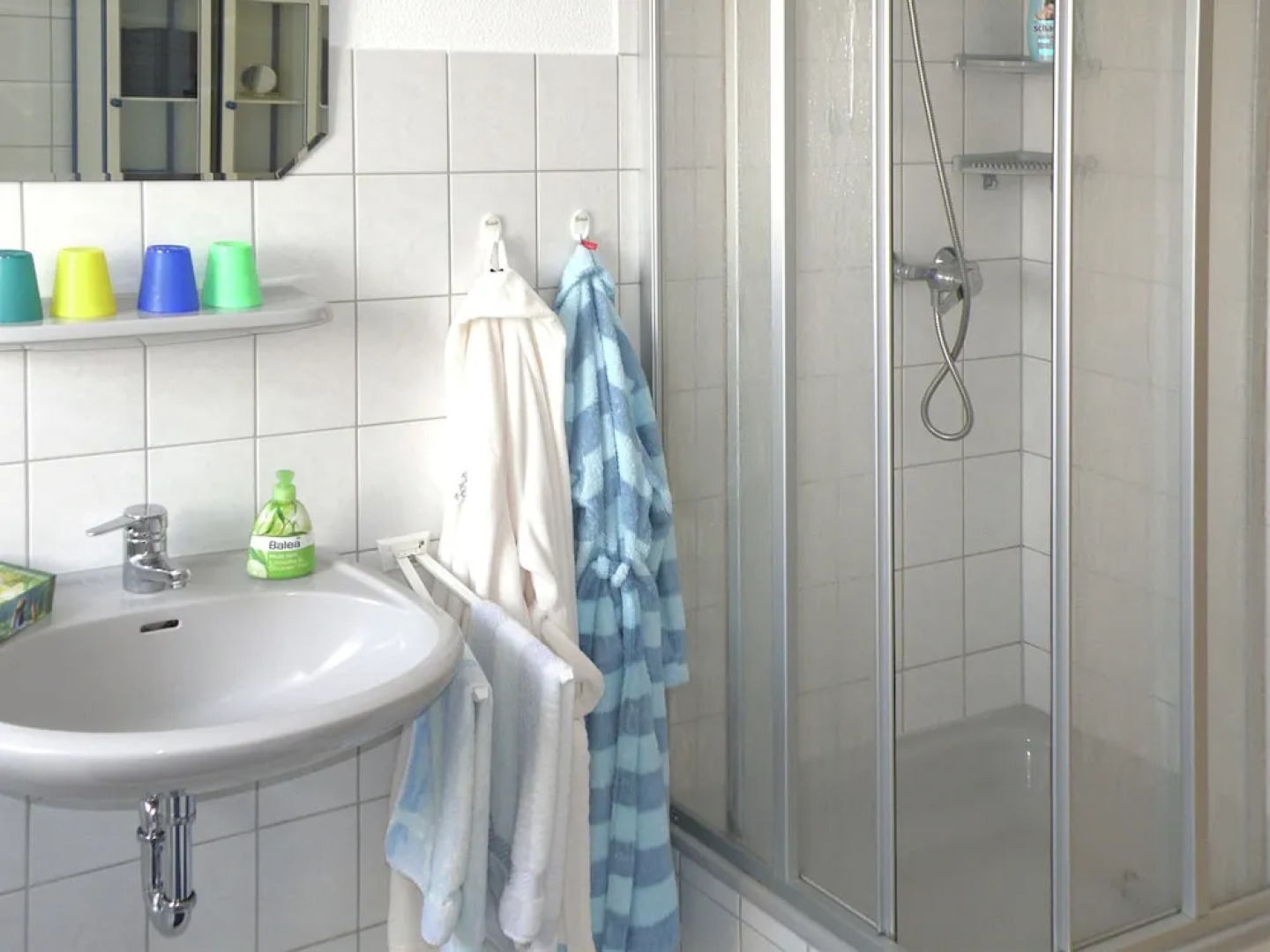 Beautiful Apartment in Wolfshagen im Harz With Gym and Balcony