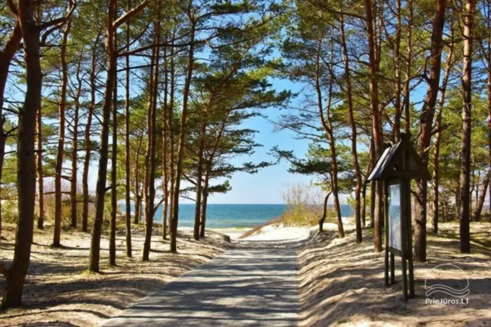 2.5 kambarių butas per du aukštus su baseinu