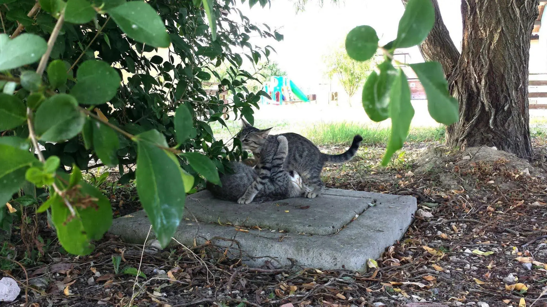 Tuscany Village Club - Ranch PratoSasso