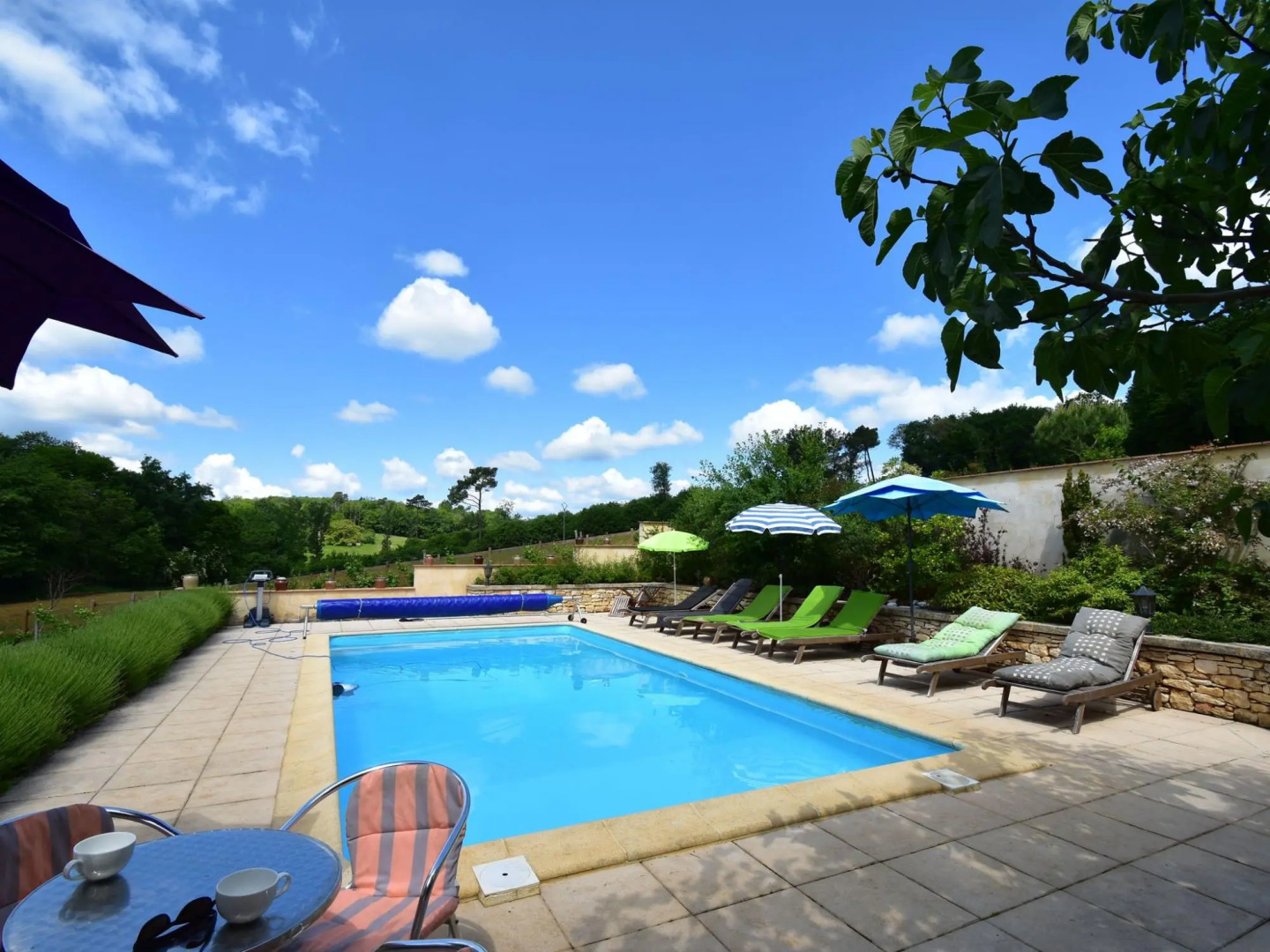 Superb Holiday Home in Busse With Swimming Pool