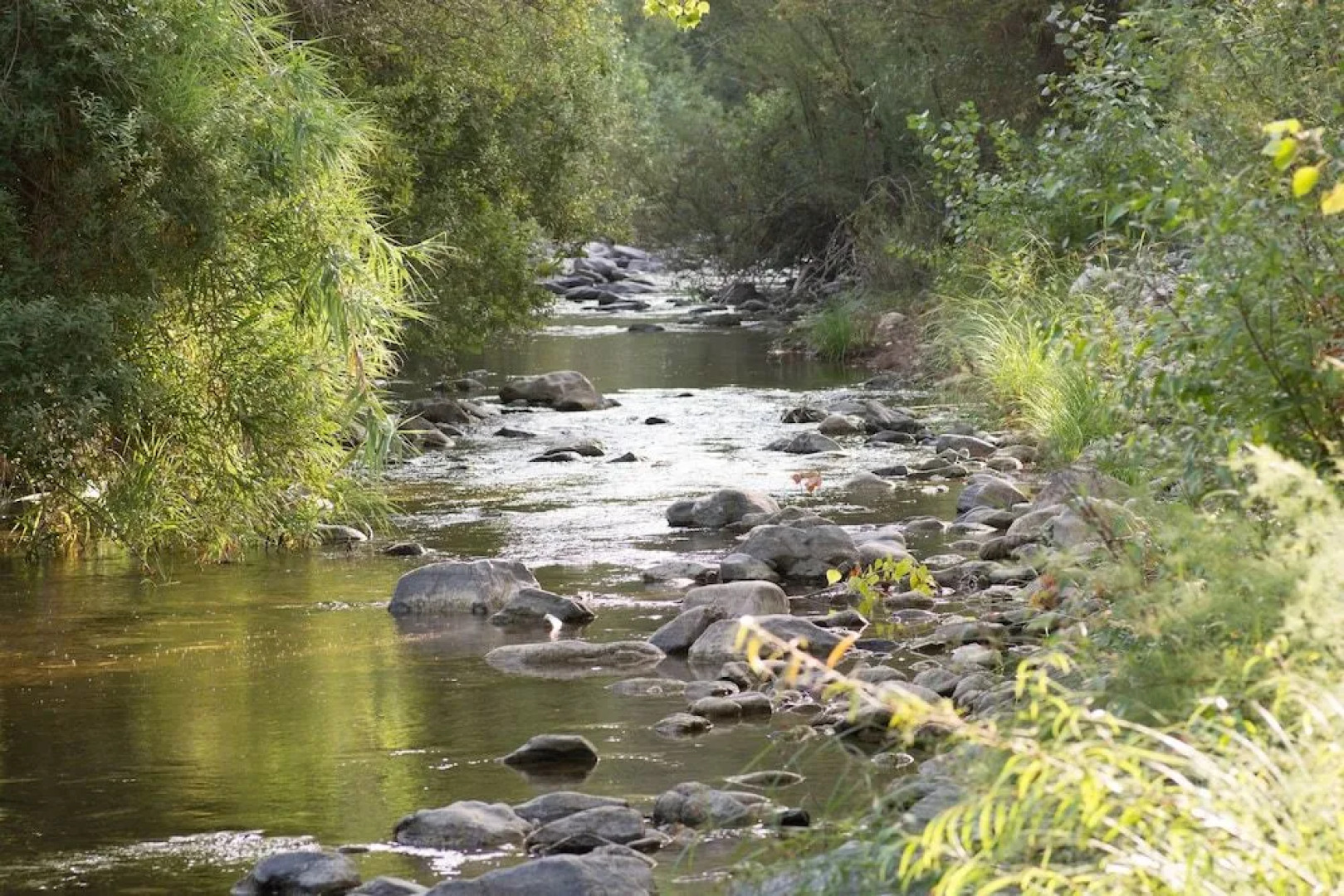 Secret Garden Retreats