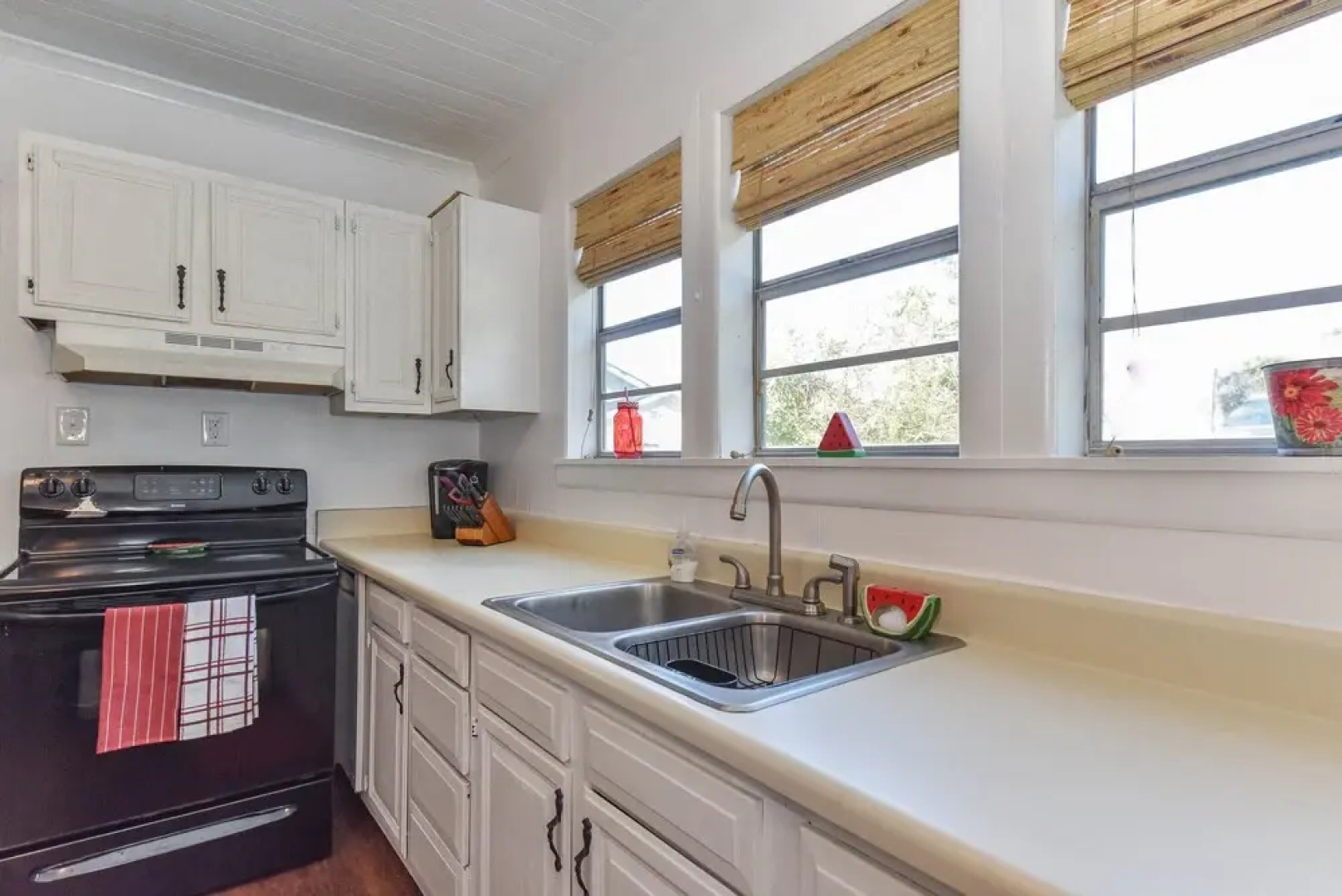 Summertime Pet-friendly 30 min Savannah