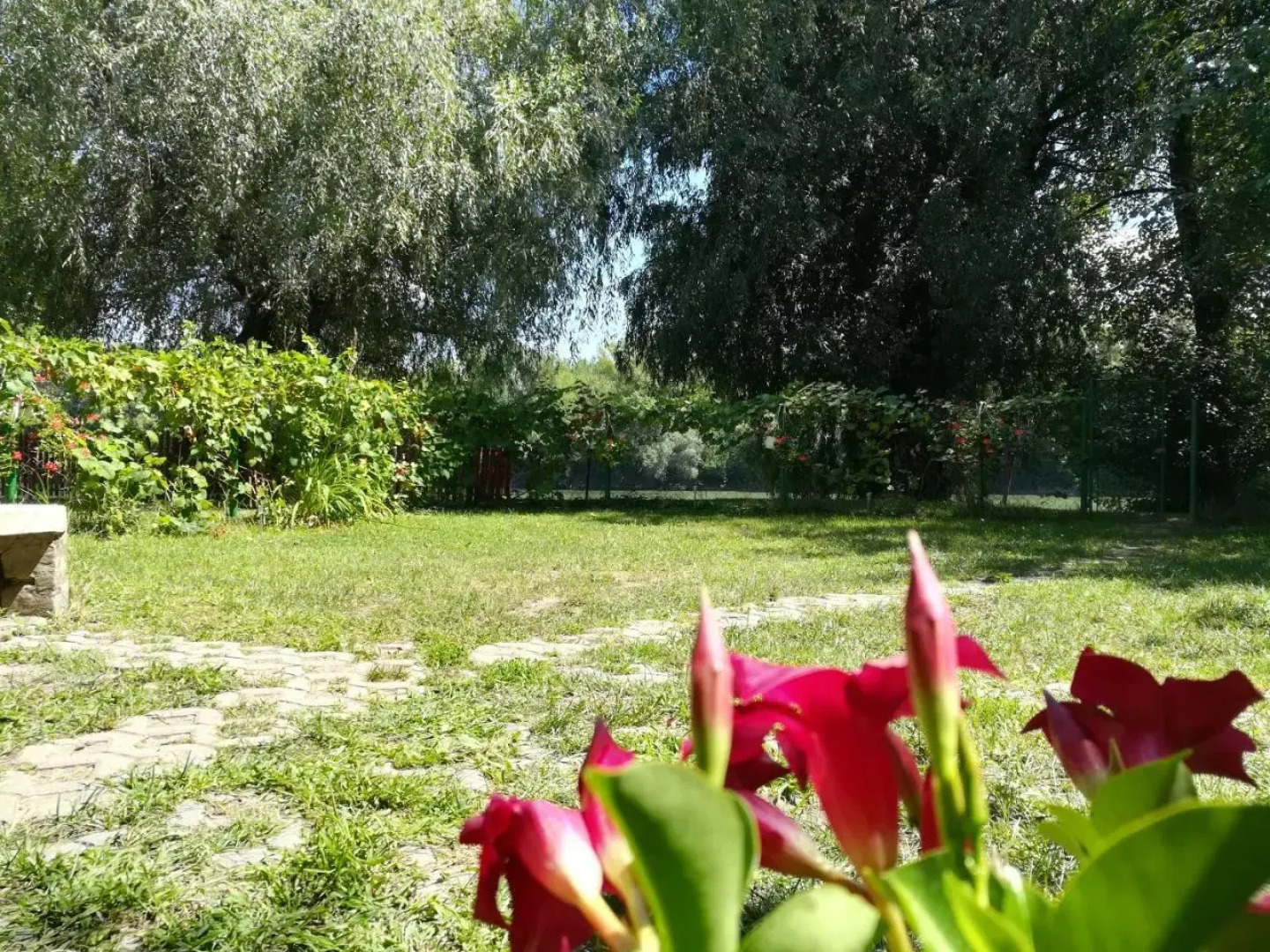 Tiszavirág Vendégház