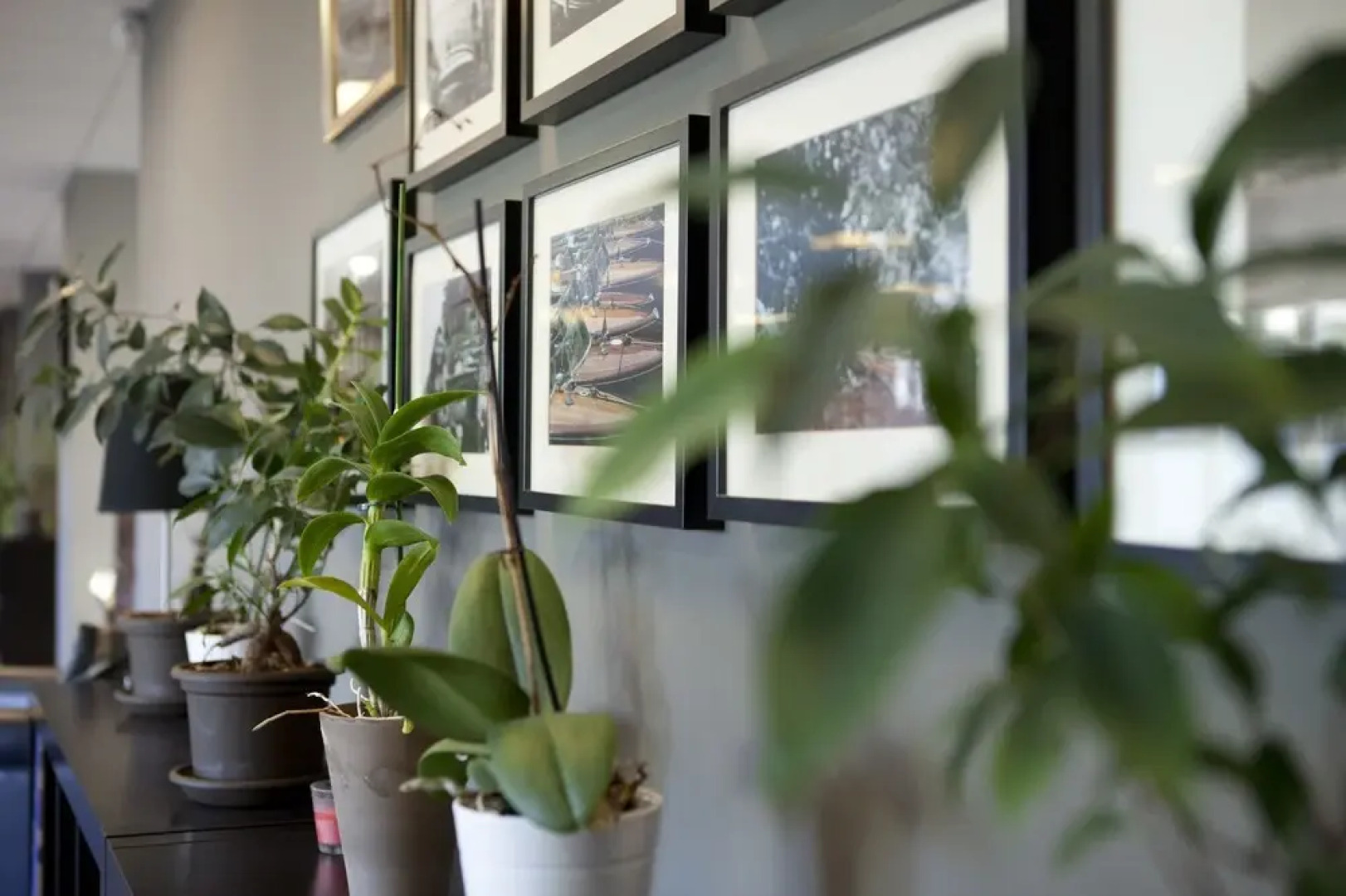 Villa Bellagio Hôtels & Résidences