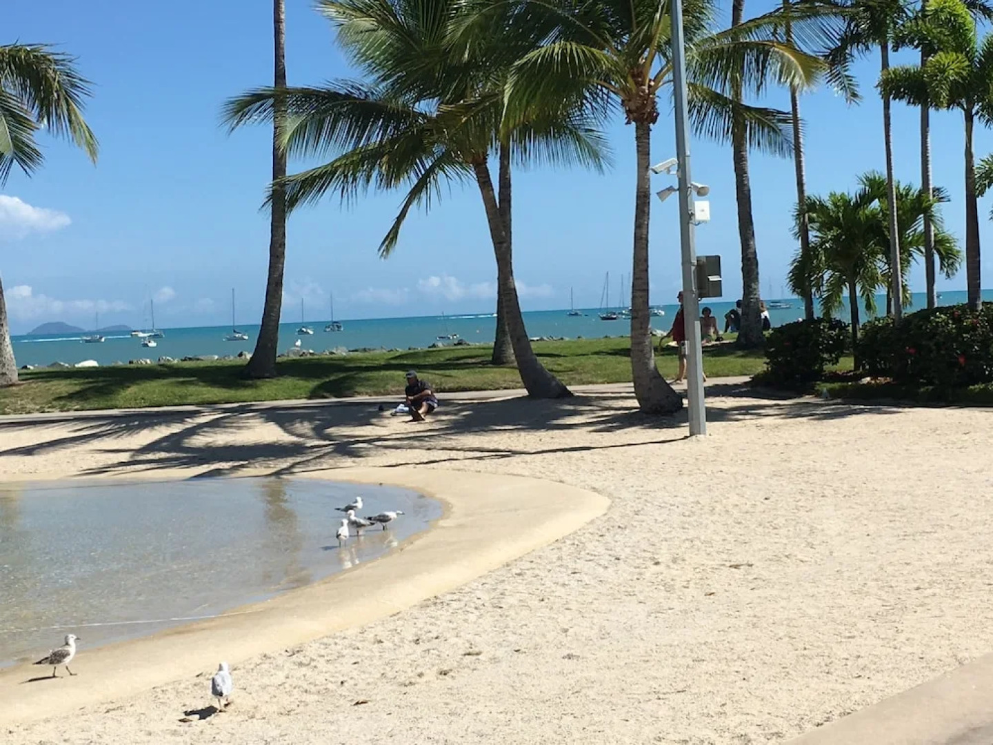 Palm Grove Rainforest Retreat