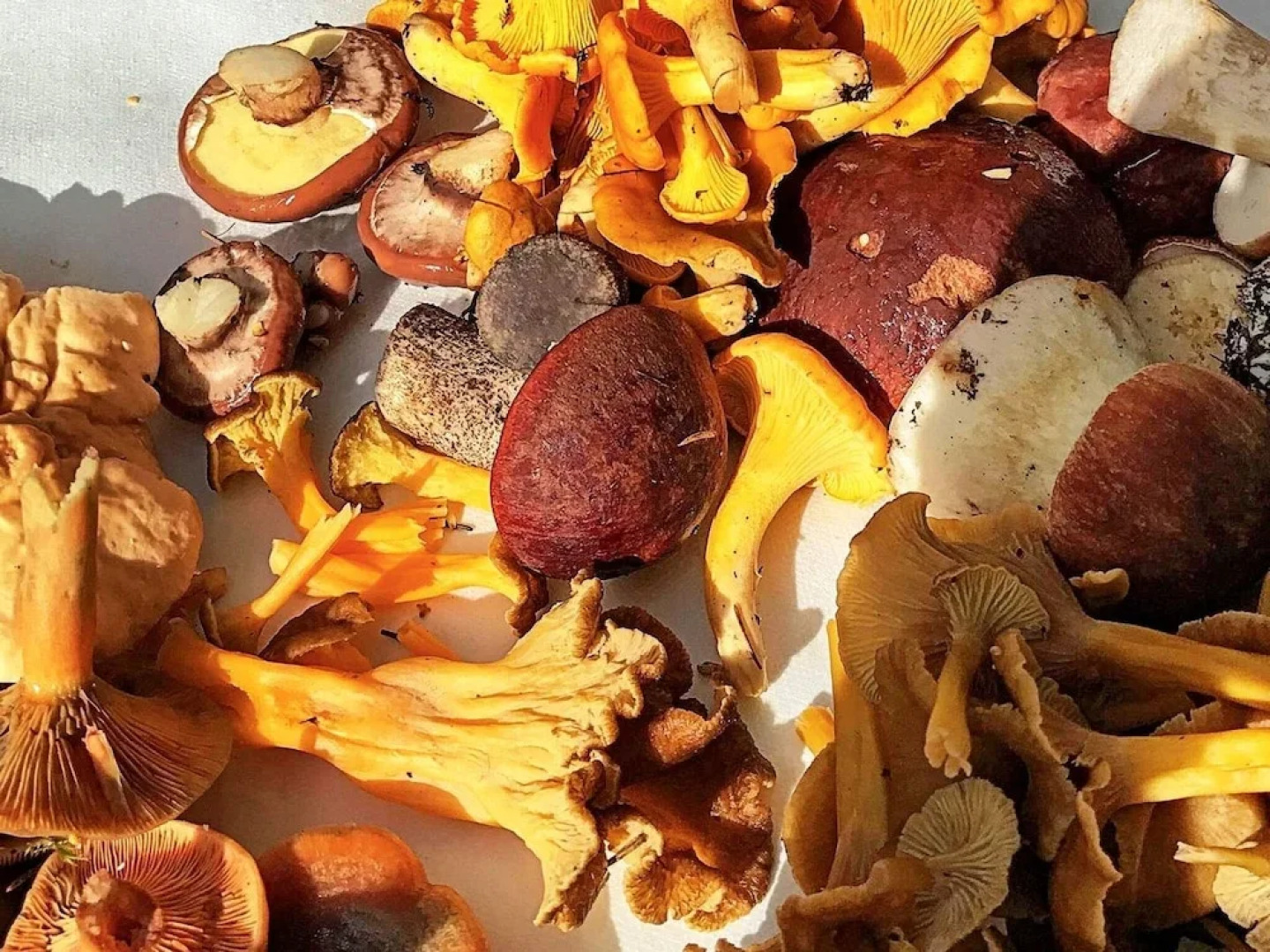 3 Person Holiday Home in Hok