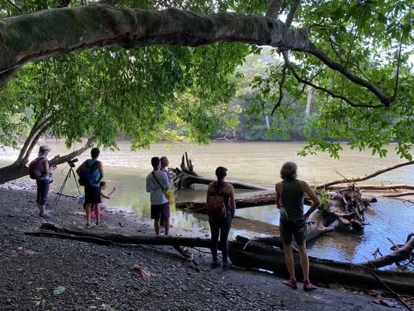 Corcovado Adventures Tent Camp