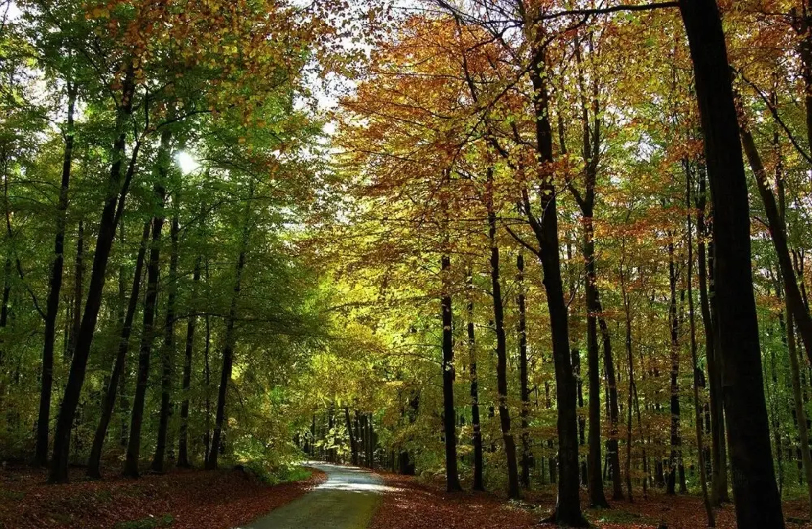 Hôtel-Restaurant L’Auberge