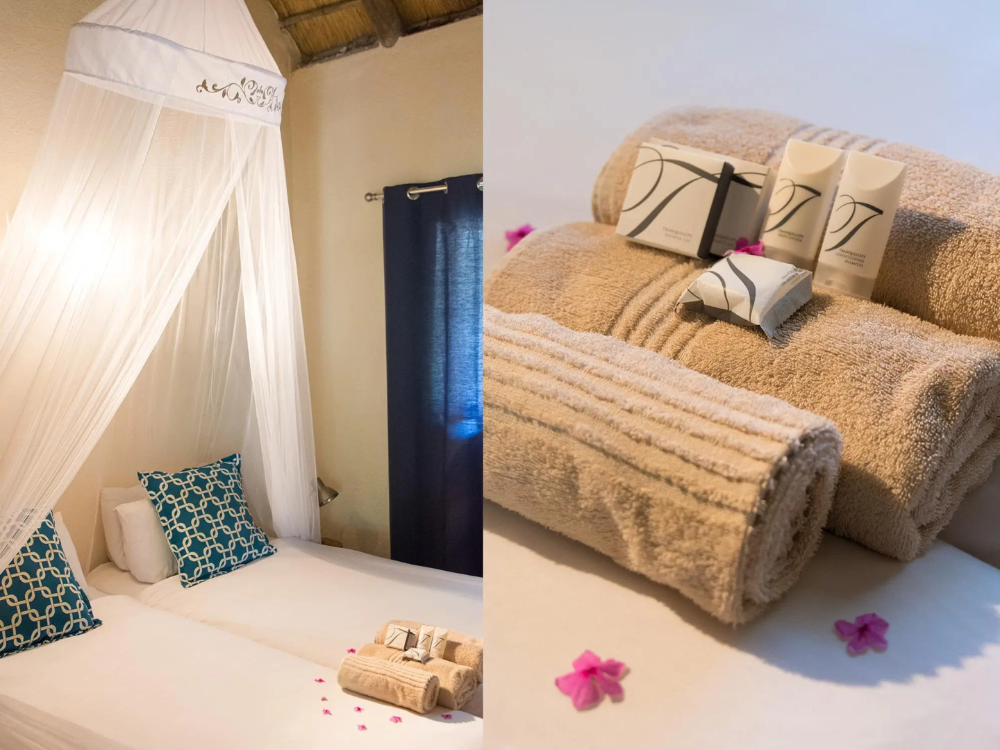 Sefapane Lodges and Safaris