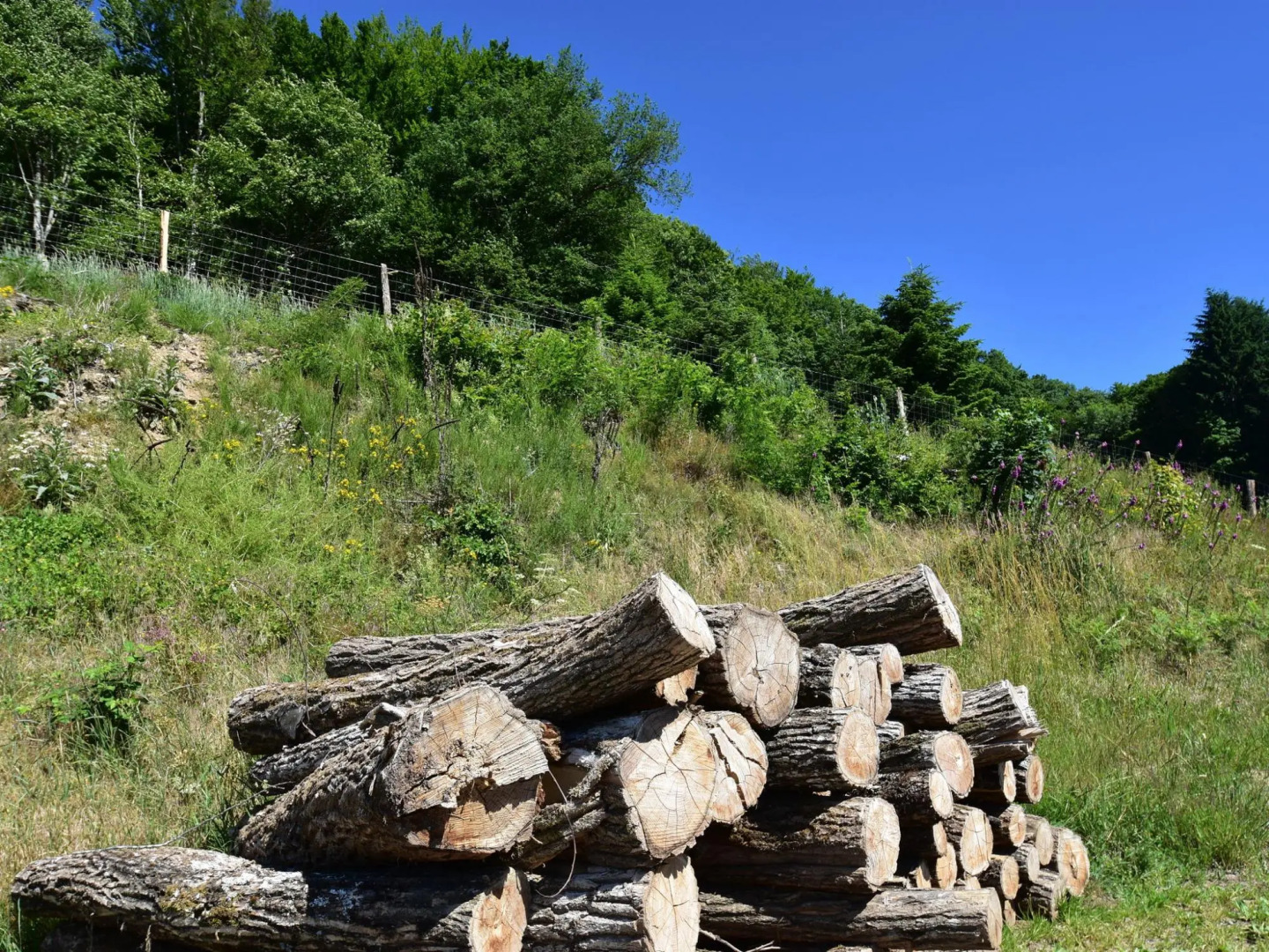 Modern Holiday Home in the Heart of France for up to 10 People
