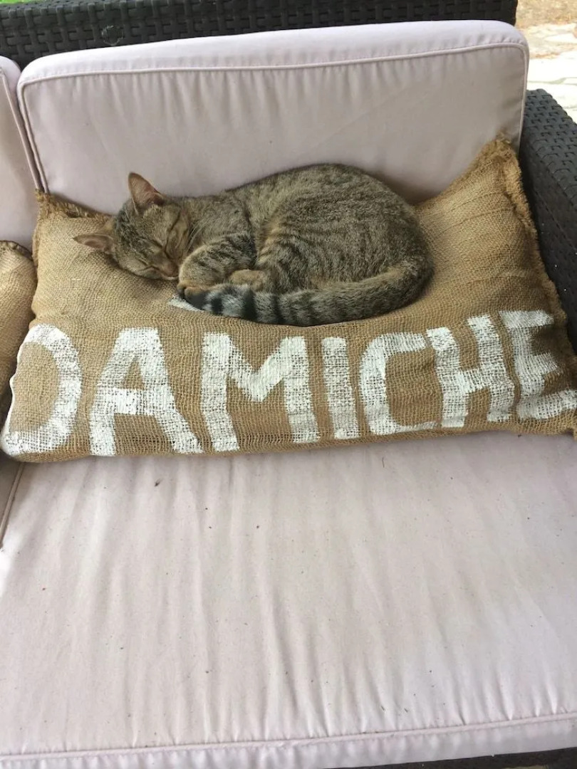 La Damiche