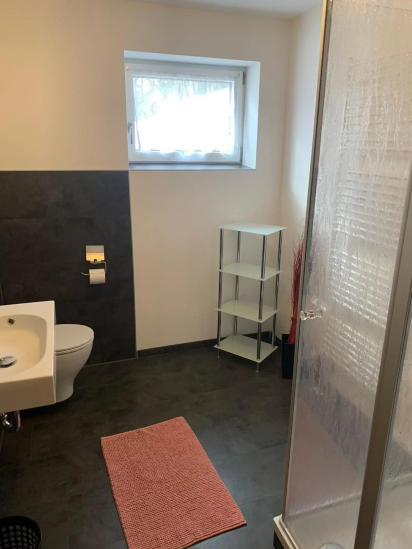 Ferienwohnung- Pfenniggeiger