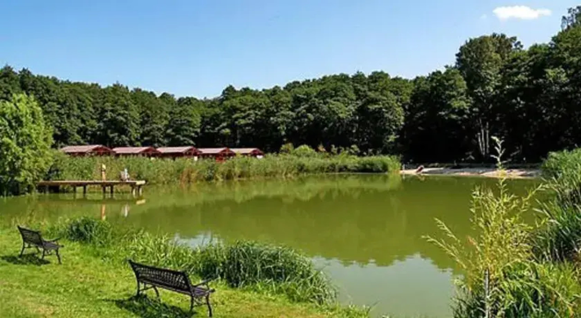 Leśny Dworek Ośrodek Przyjazny Rodzinom z Dziećmi