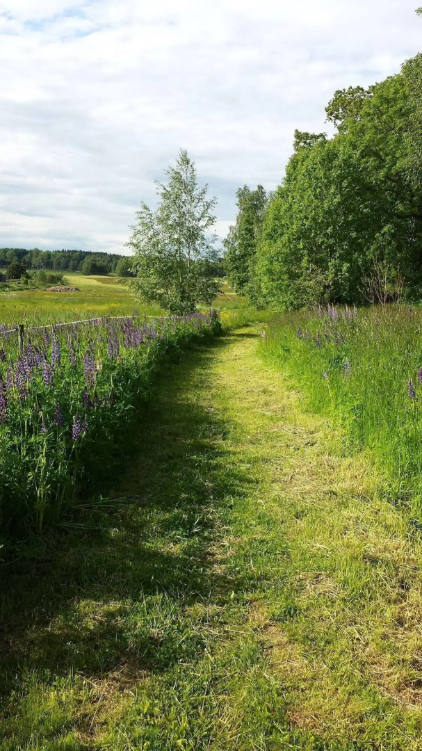Strandgårdens Wärdshus