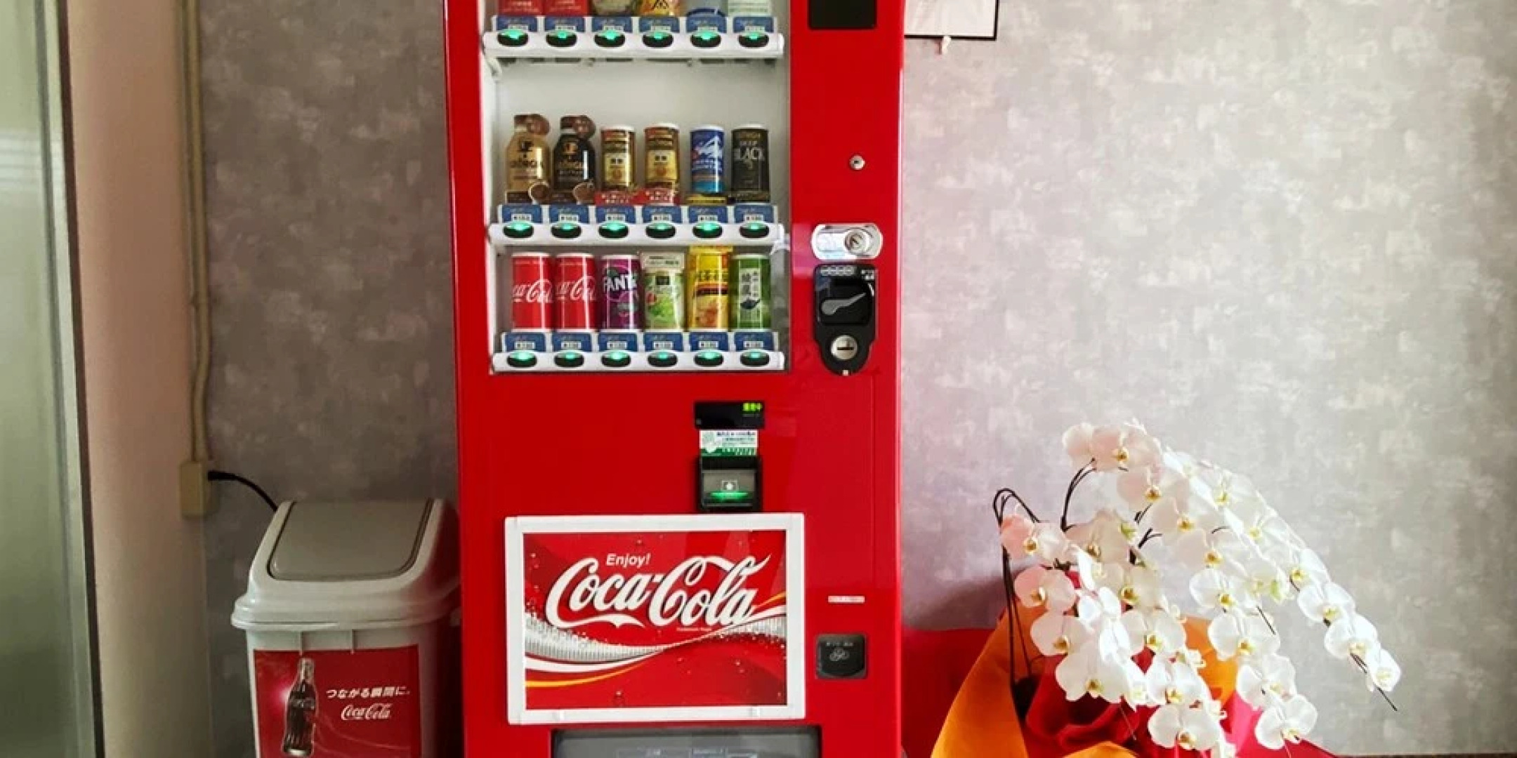 Bears Stay Kumejima Ifu Beach