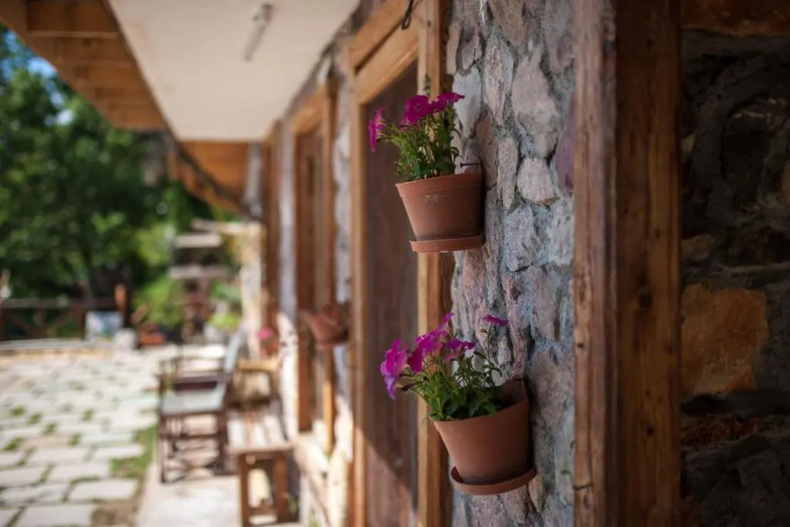 Robinson Sunset Guest House