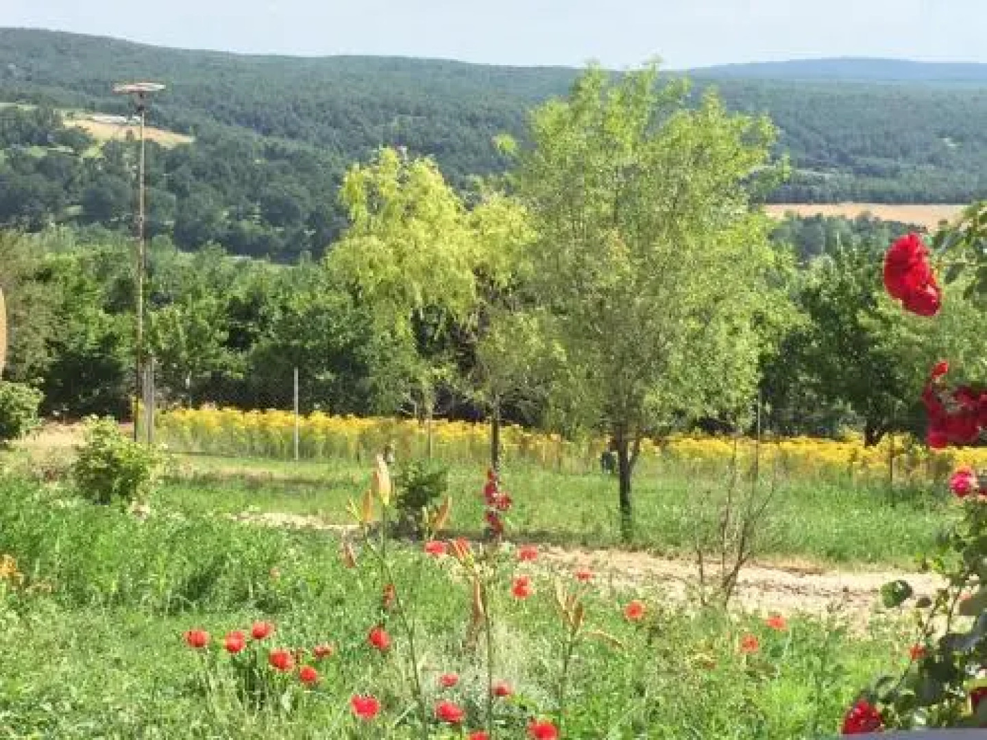 Köy Evi Country House