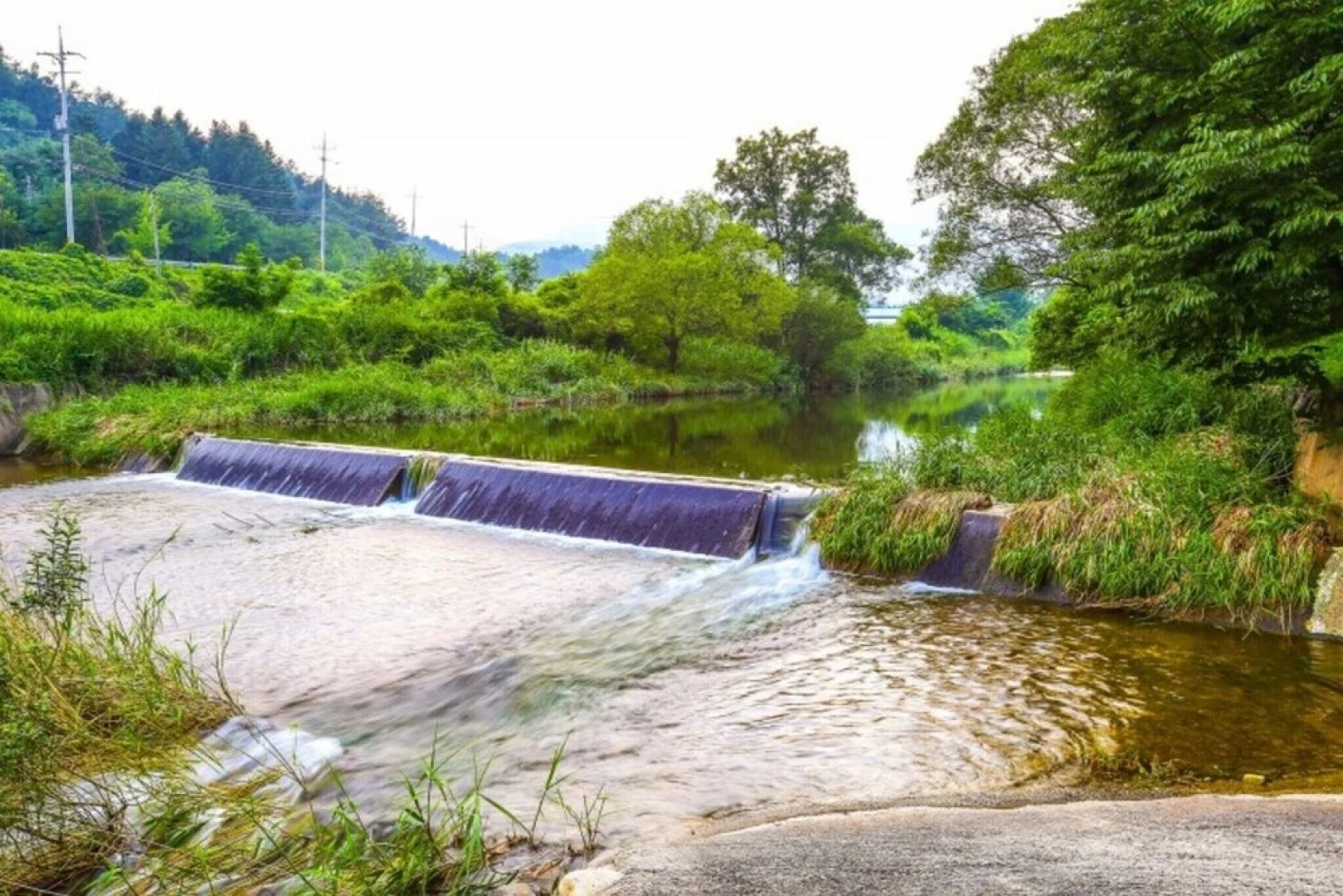Yangpyeong Log Camp Pension
