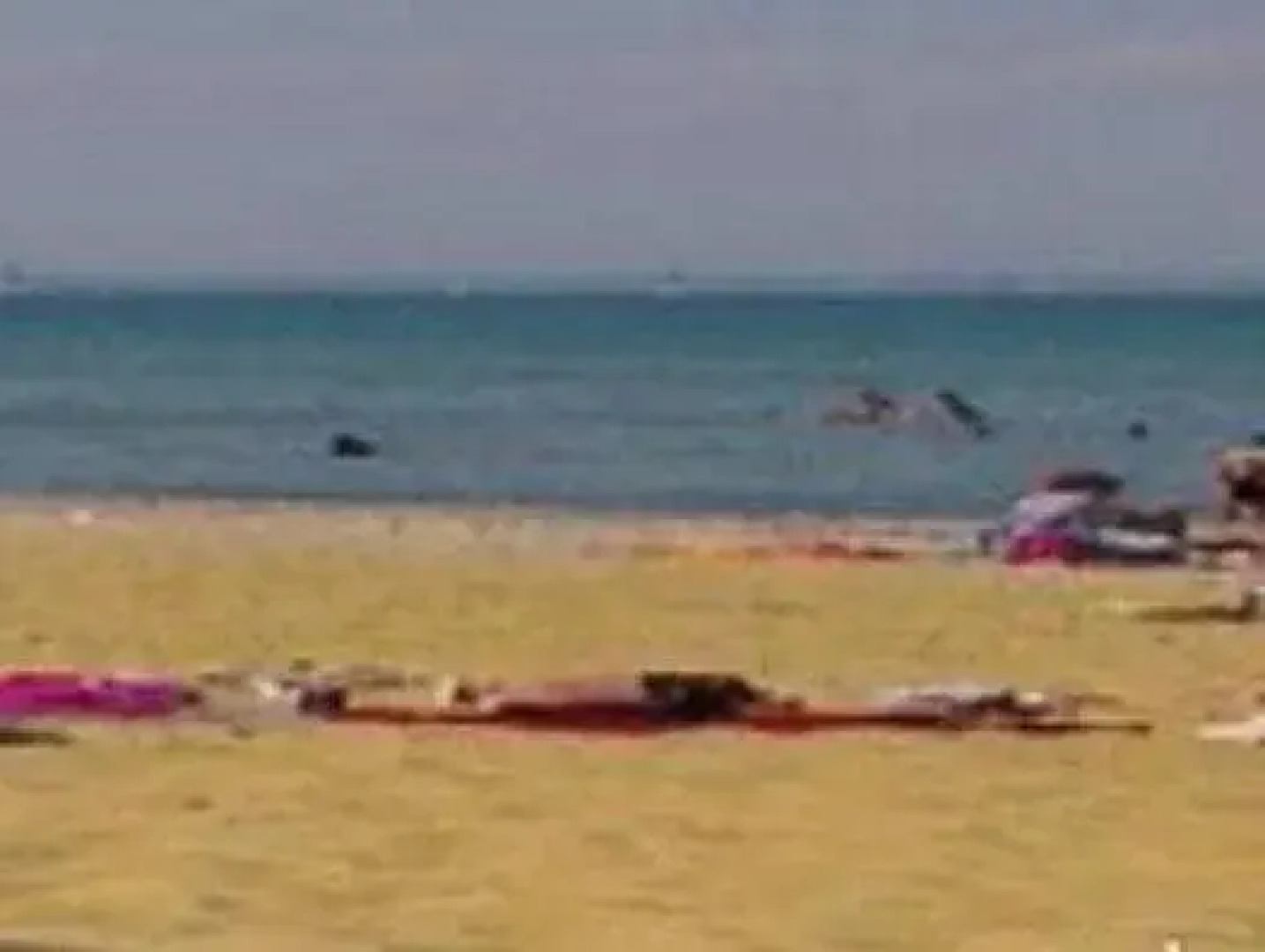 Homeleigh Guesthouse