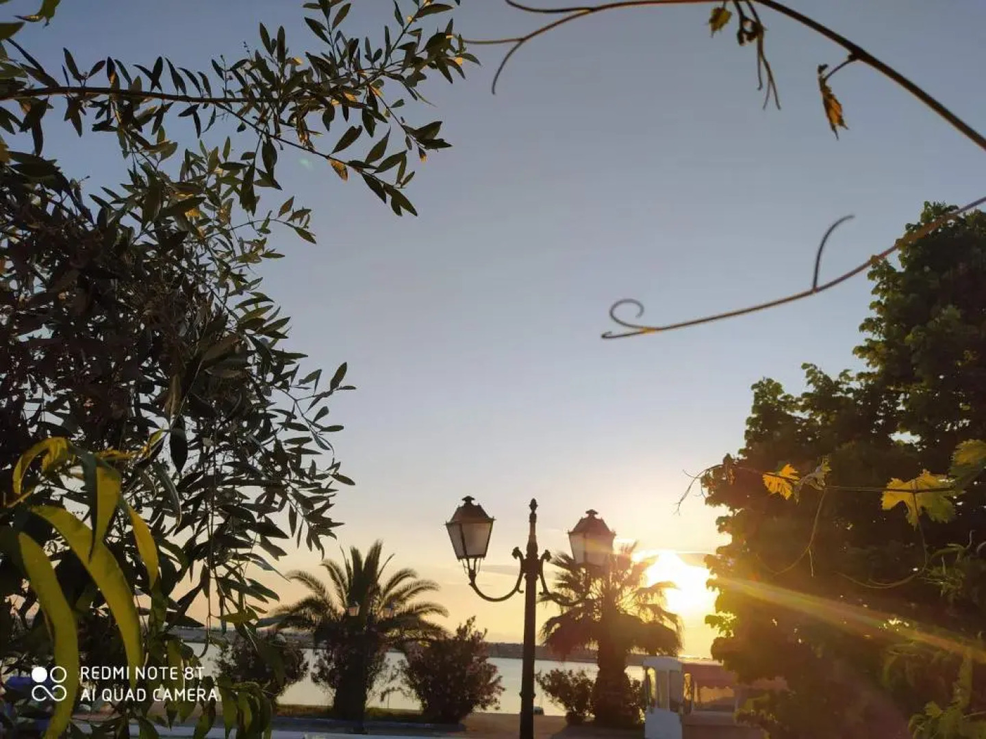 Seaside Deluxe Apartment