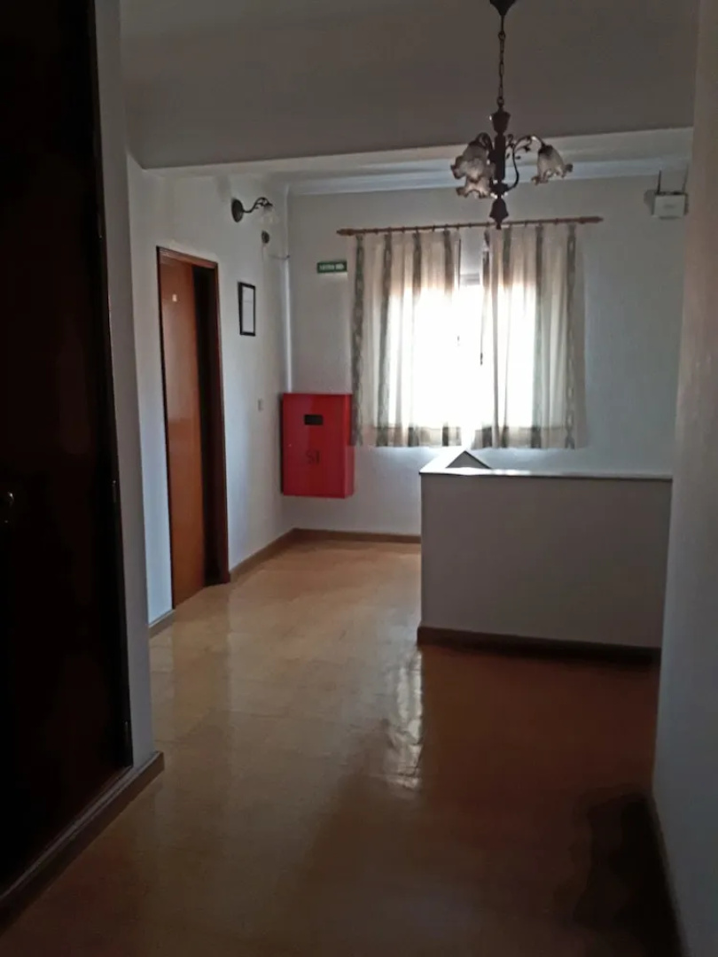 Mira Tejo