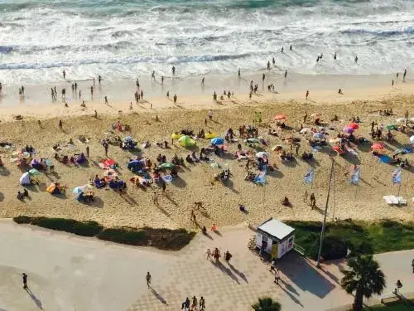 Puerto Pacifico - 211