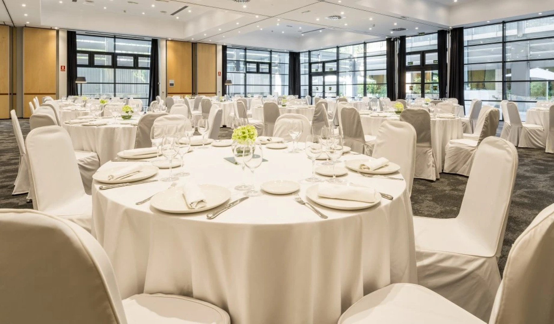 Отель ILUNION Pio XII